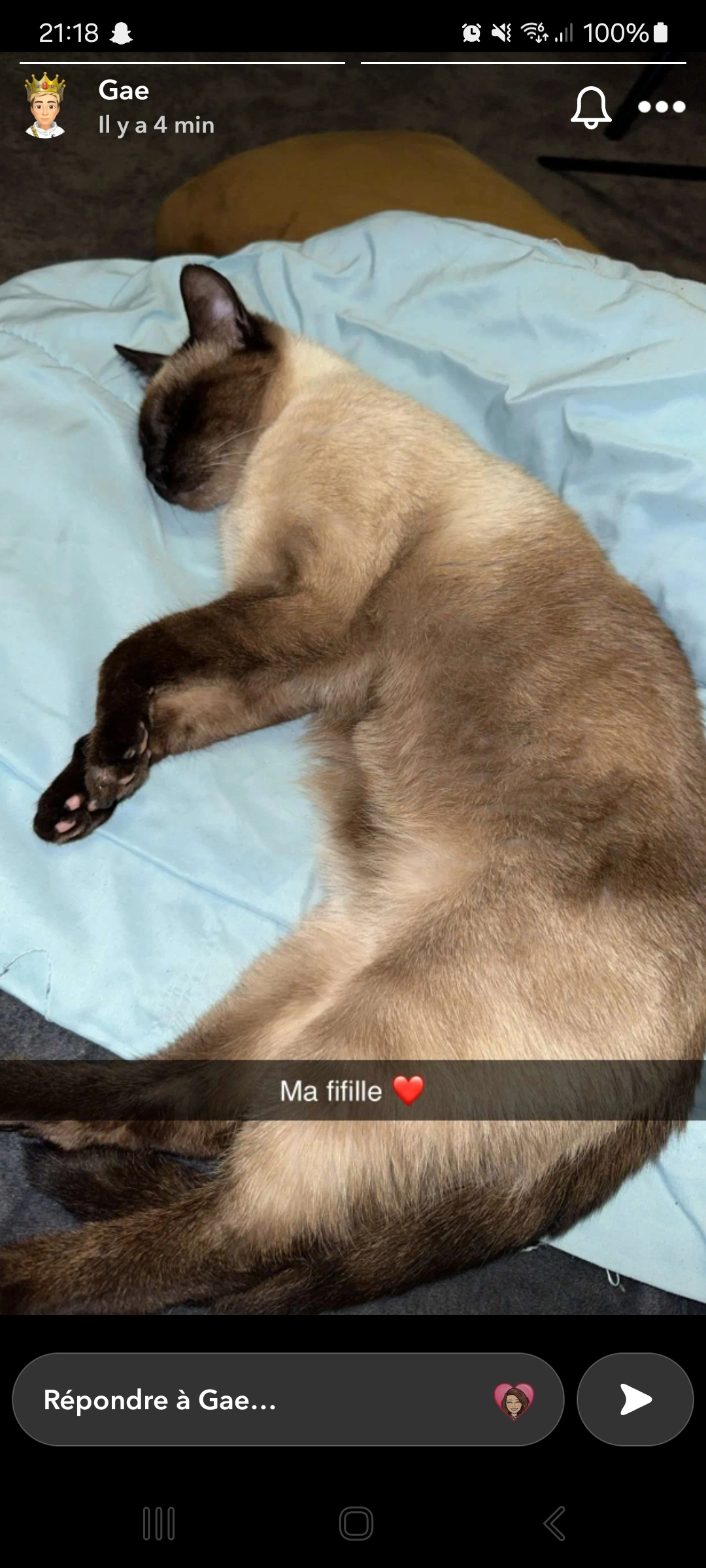 Nala - Ruee Marie Tussaud, Rountzenheim