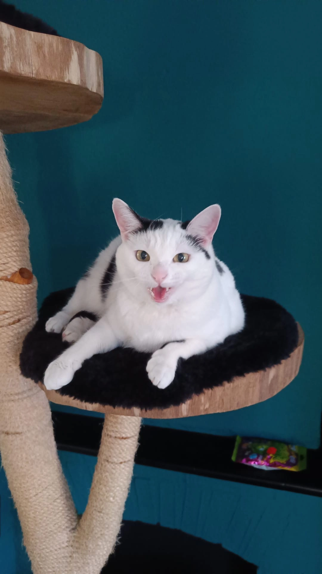 Loki - Burgemeester R.J. Giezenstraat, Muntendam