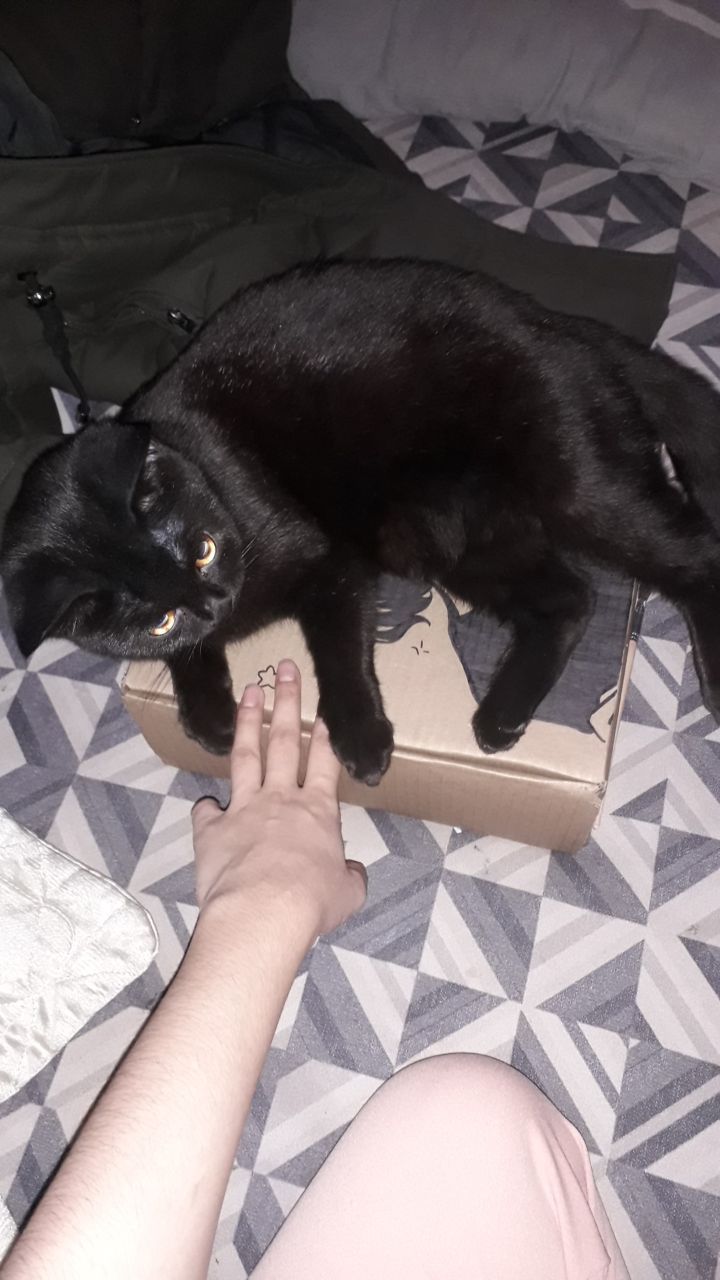 Нона - Каландаришвили улица, Иркутск