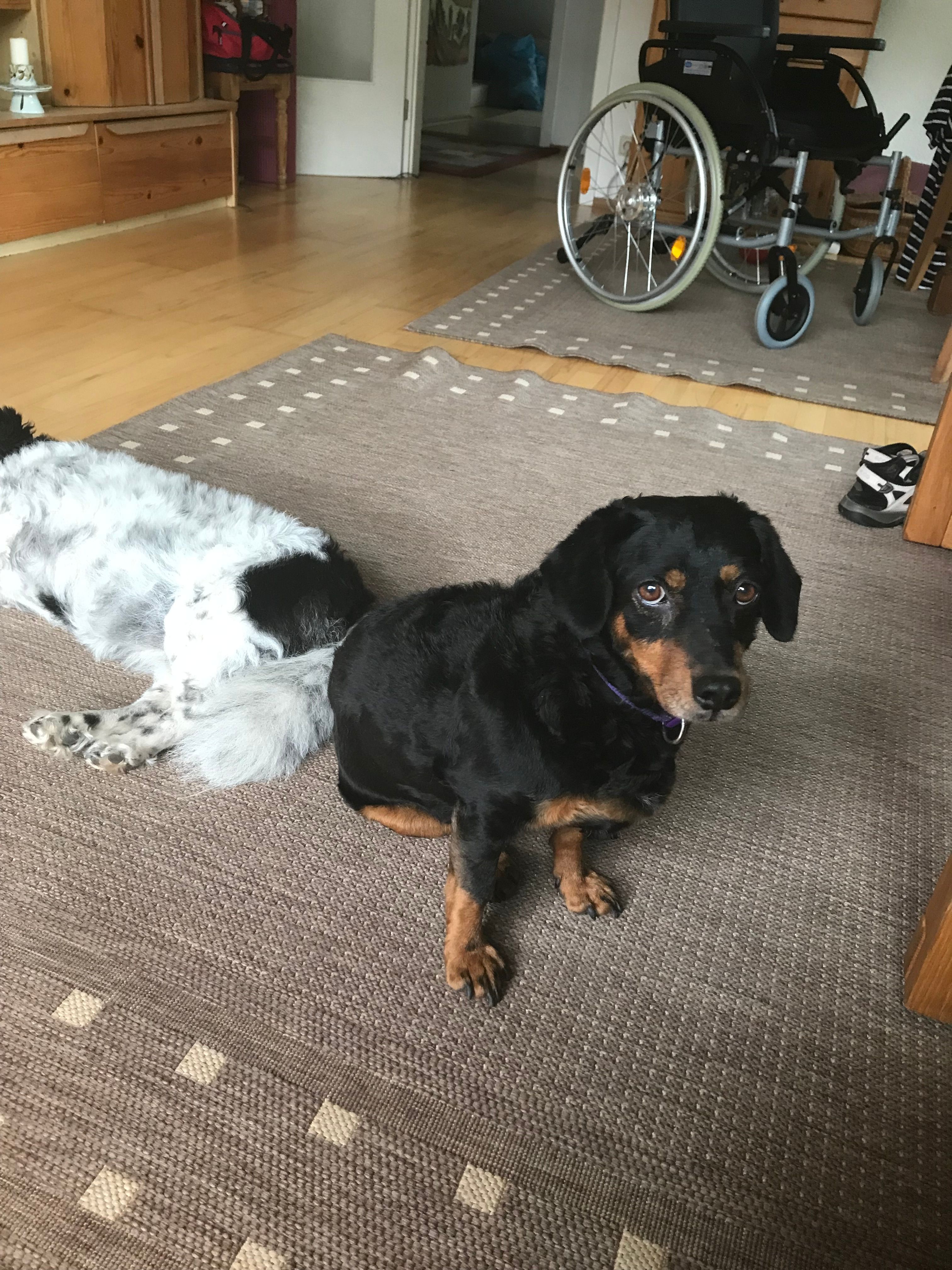 Paula - B 260, Bad Schwalbach