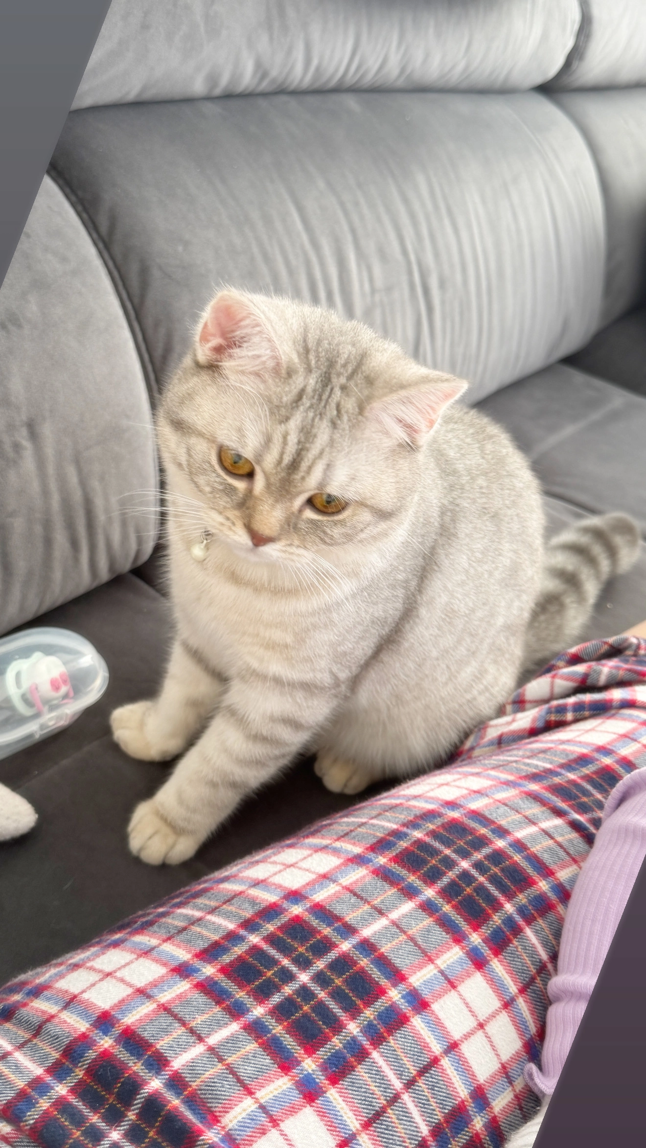 Pamuk - An Der Terrasse, Werningshausen