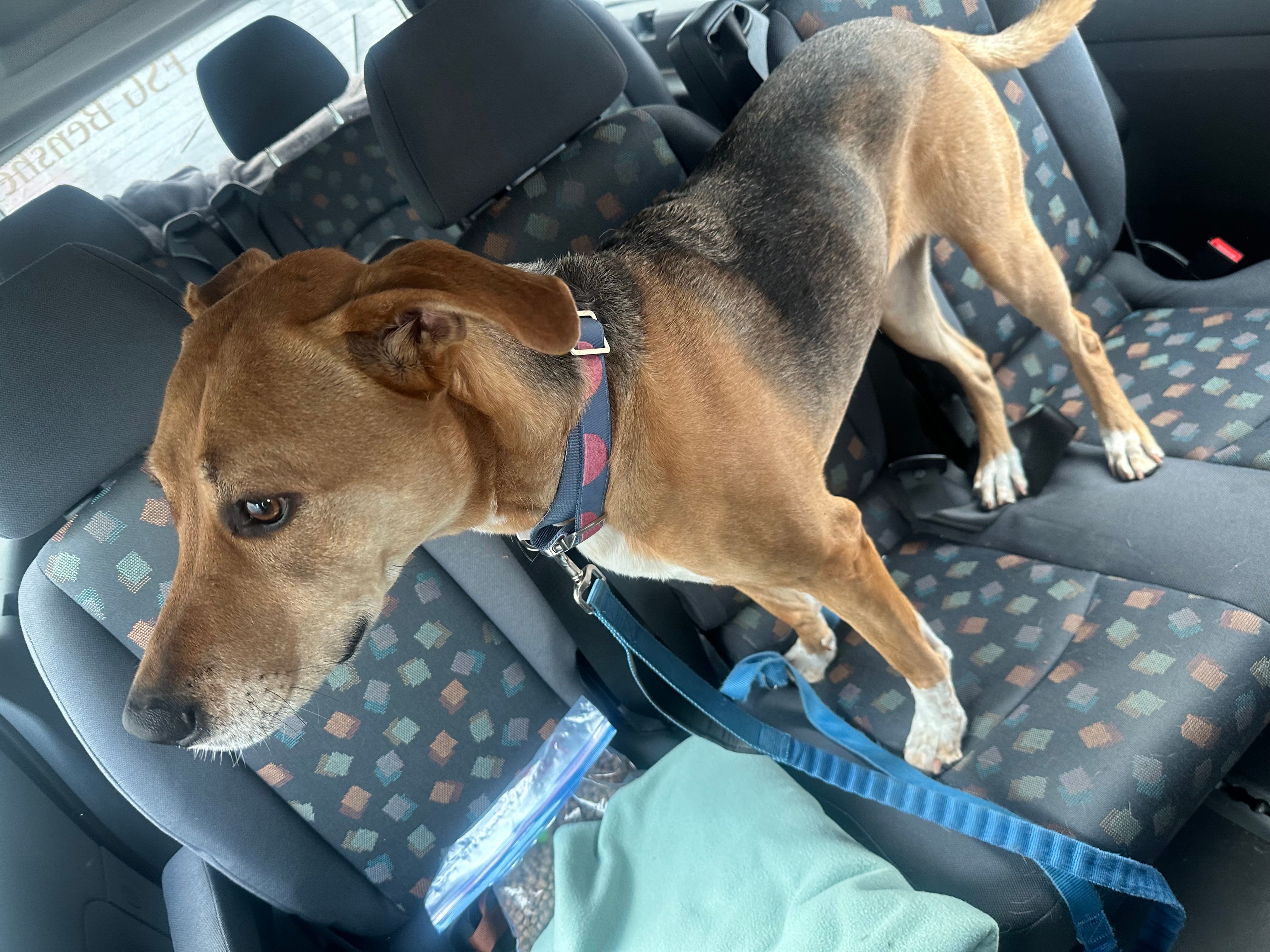 Stella - Birkenstraße, Enkenbach-Alsenborn