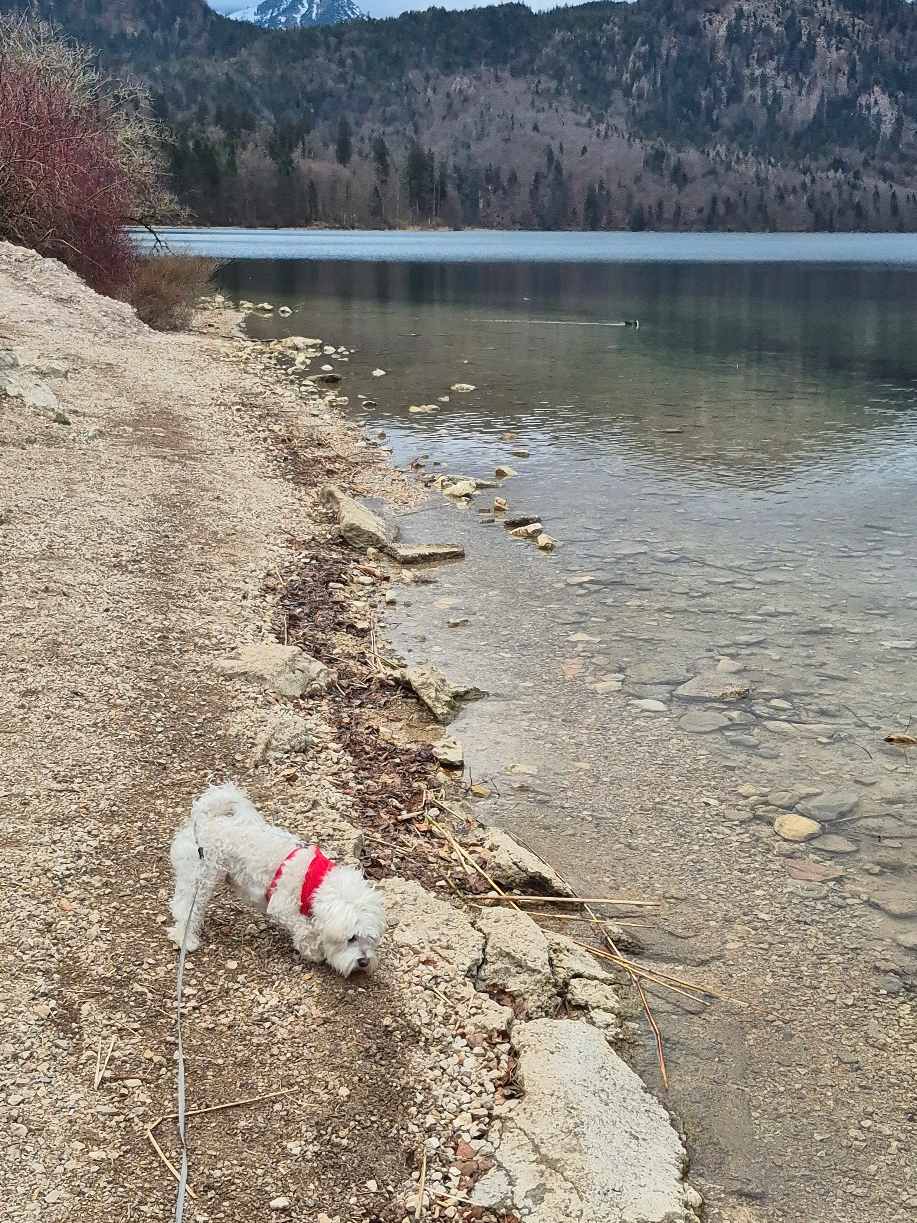Quincy - Birkenstraße, Stadtbergen