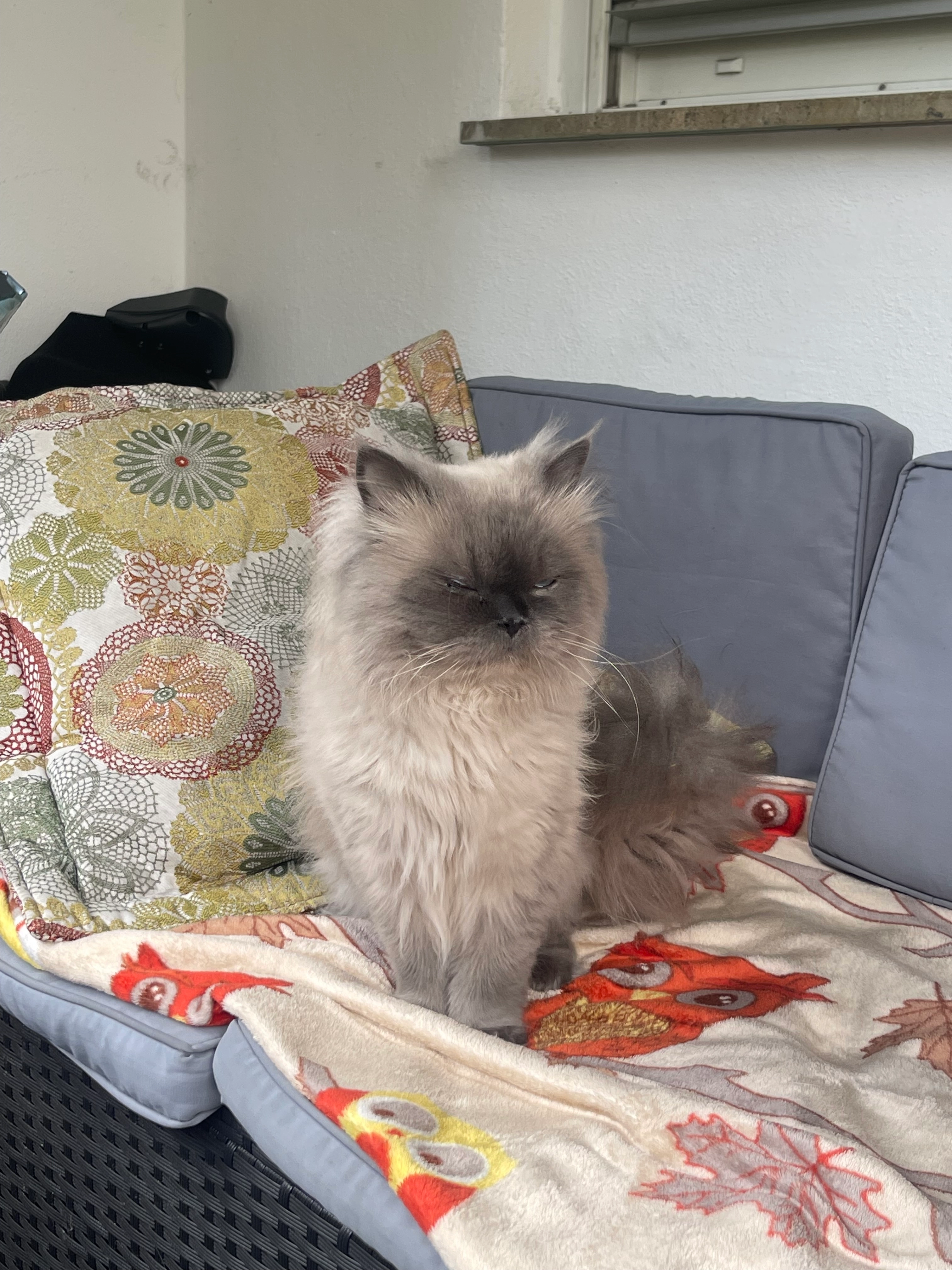 Satu - Ziegelweg, Tuttlingen