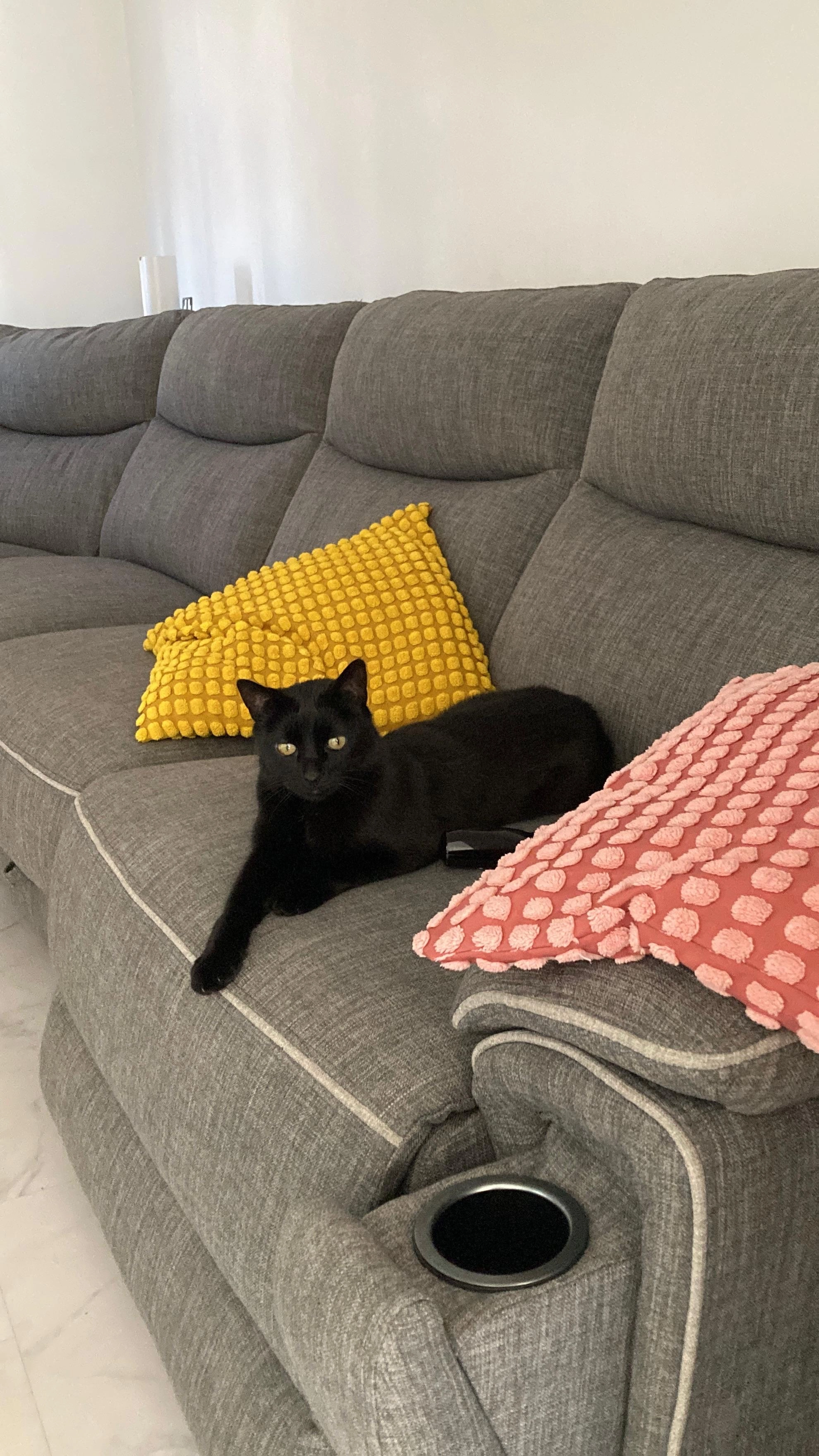 Milo - TN10 3, Tonbridge