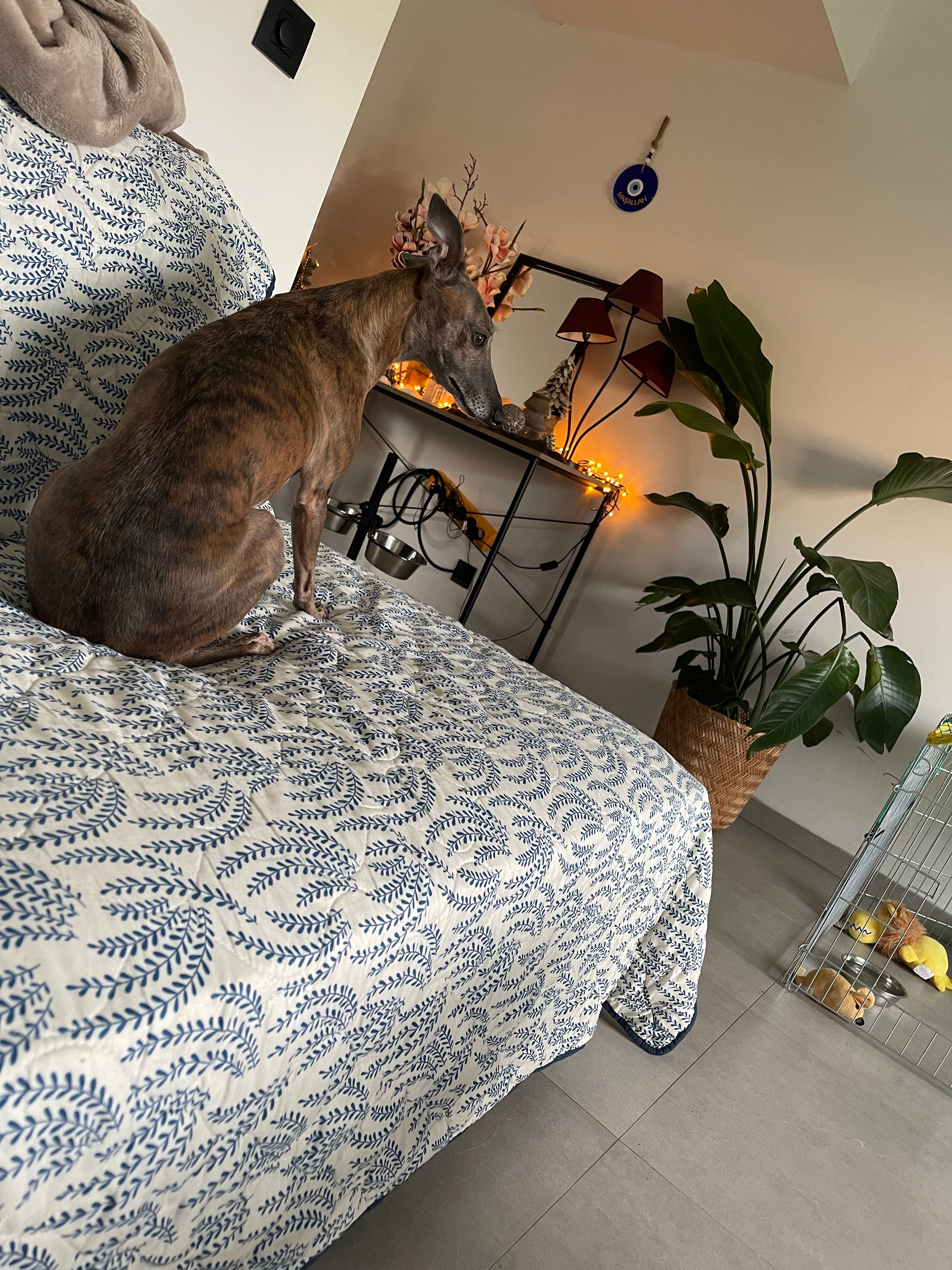 Marieke - Eikenlaan, Maasmechelen