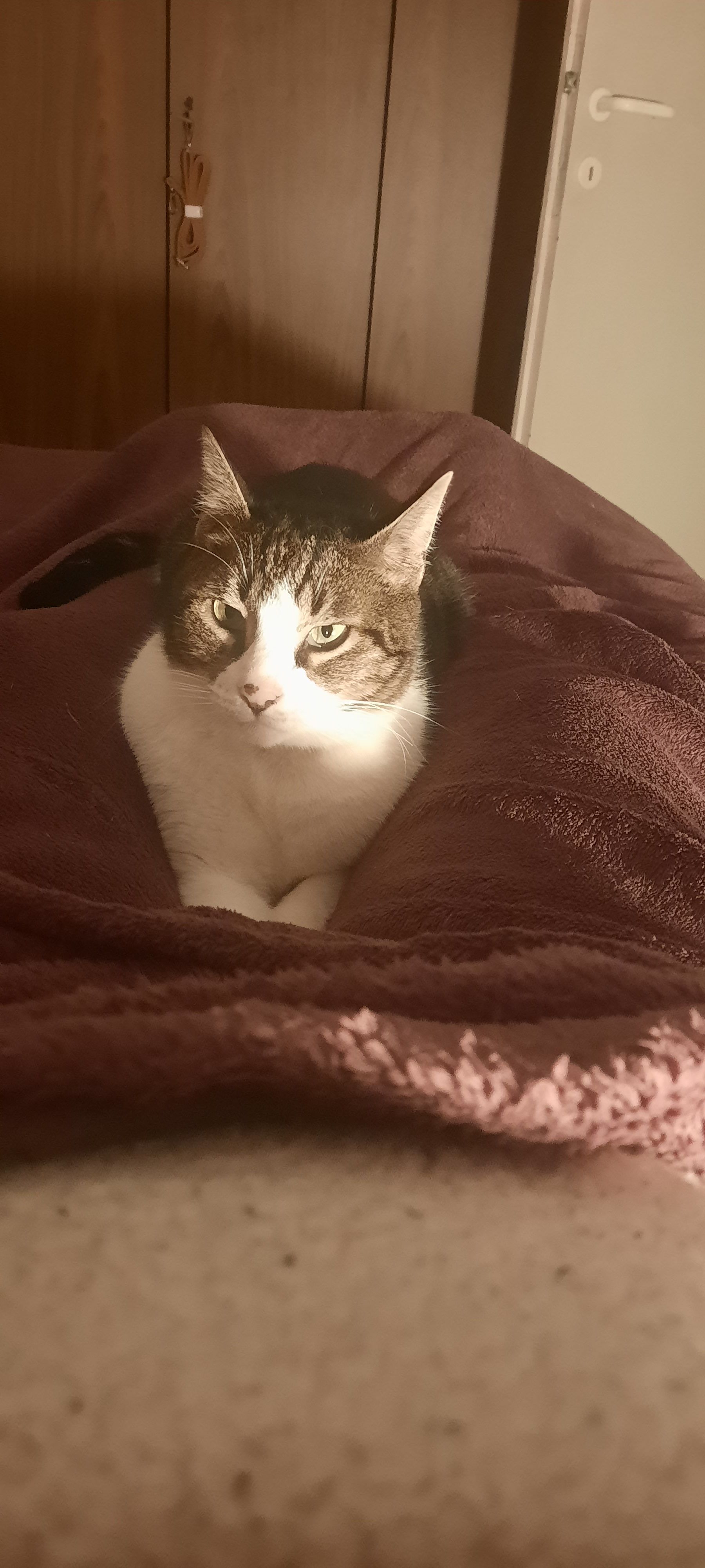 Happy - הרא''ה, Yehud