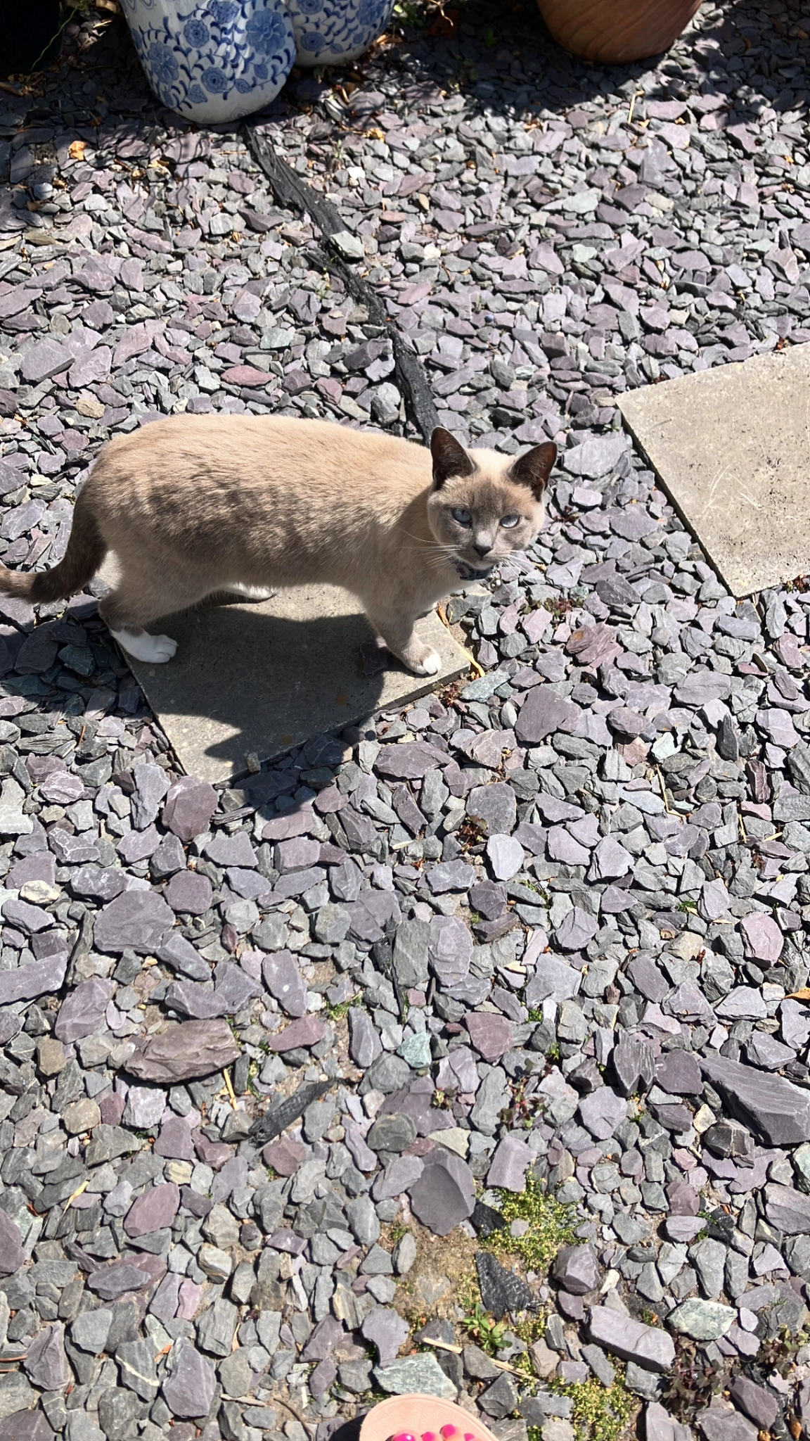 Boots - Castle Road, Southsea, Portsmouth
