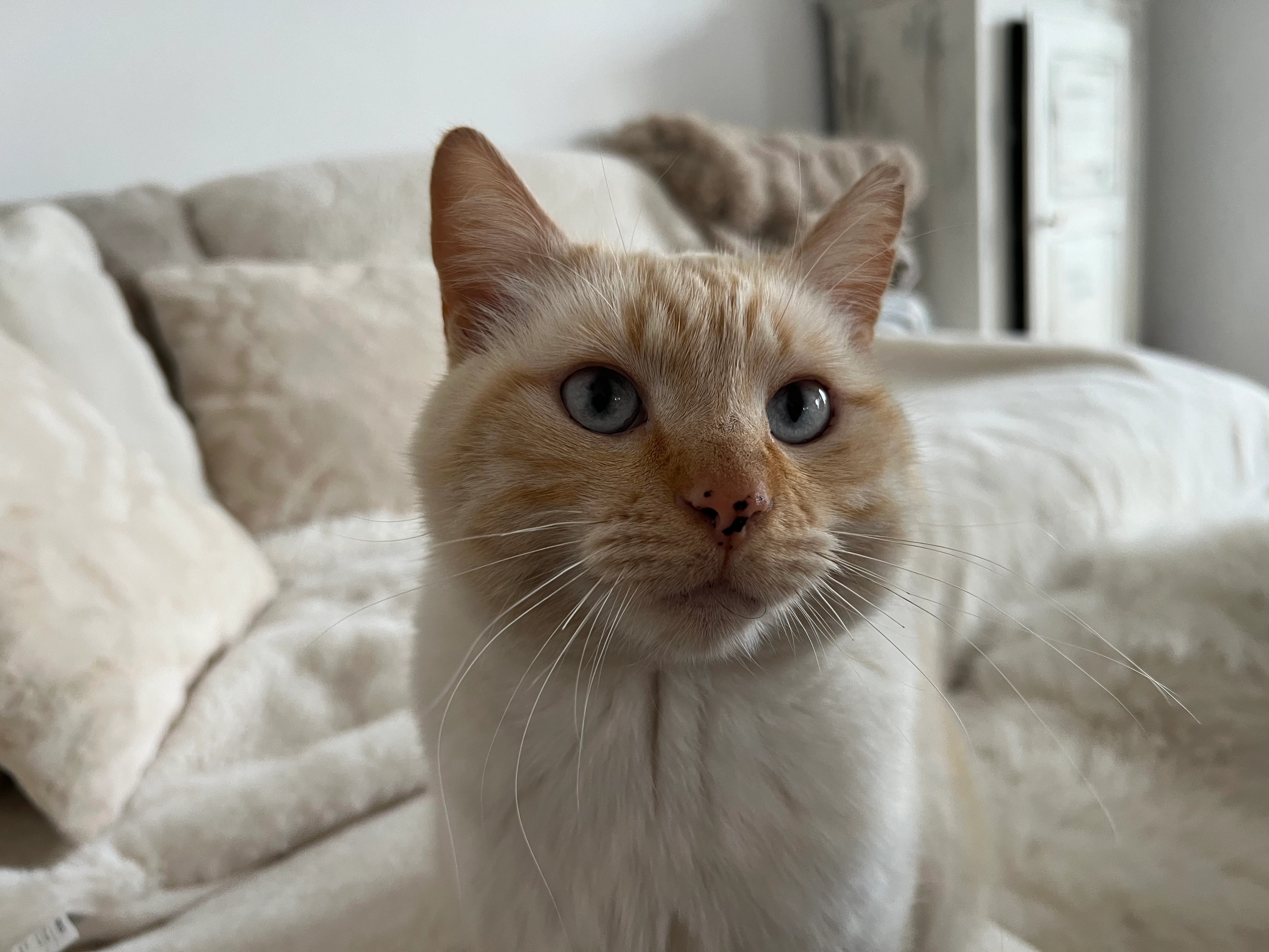 Midori - Allée Marie Heurtin, Nantes