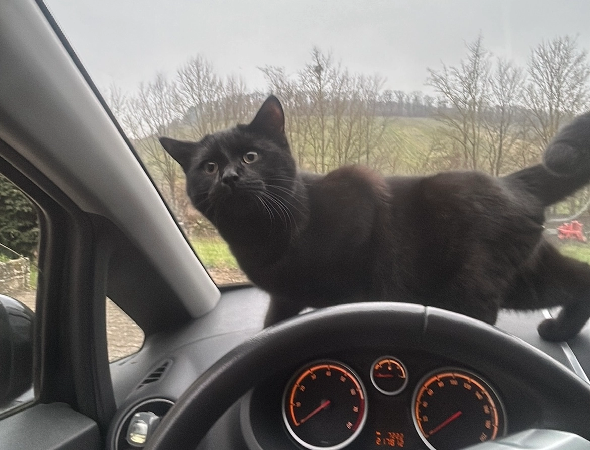 Milo  - In der Klinge, Eberstadt