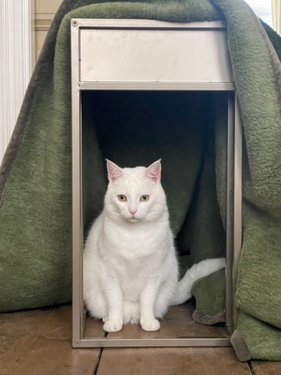 Yara - Geert Grootestraat, Deventer