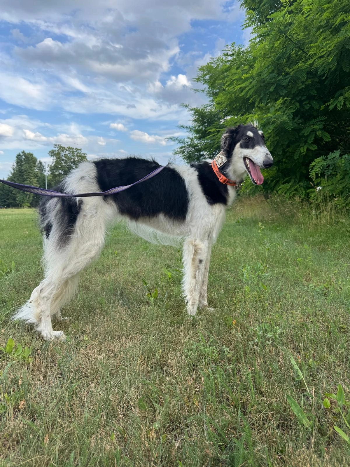 XANA - Hofstraat, St.-Jacobiparochie