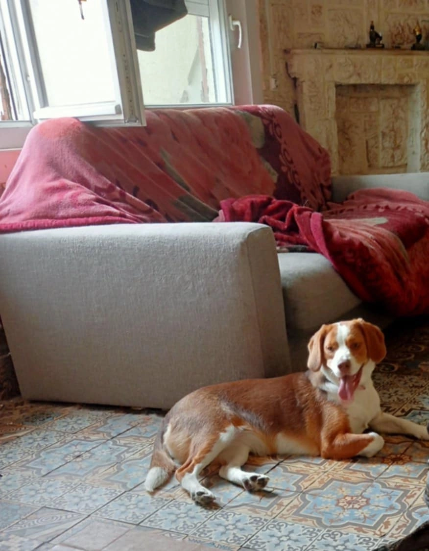 Vicky - Avenue De Bruay, Béthune