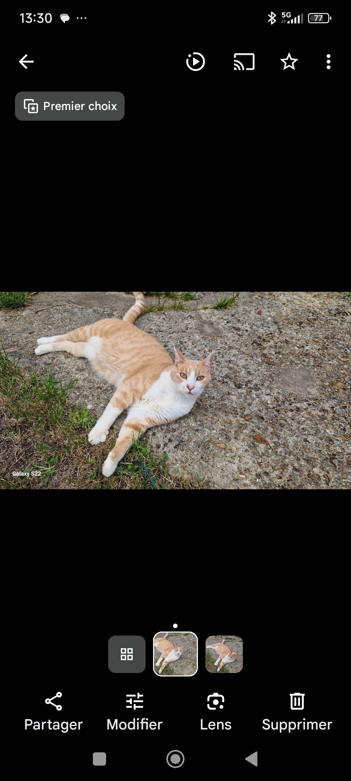 Frimousse  - 41 Quai du Pré Long, Lagny-sur-Marne