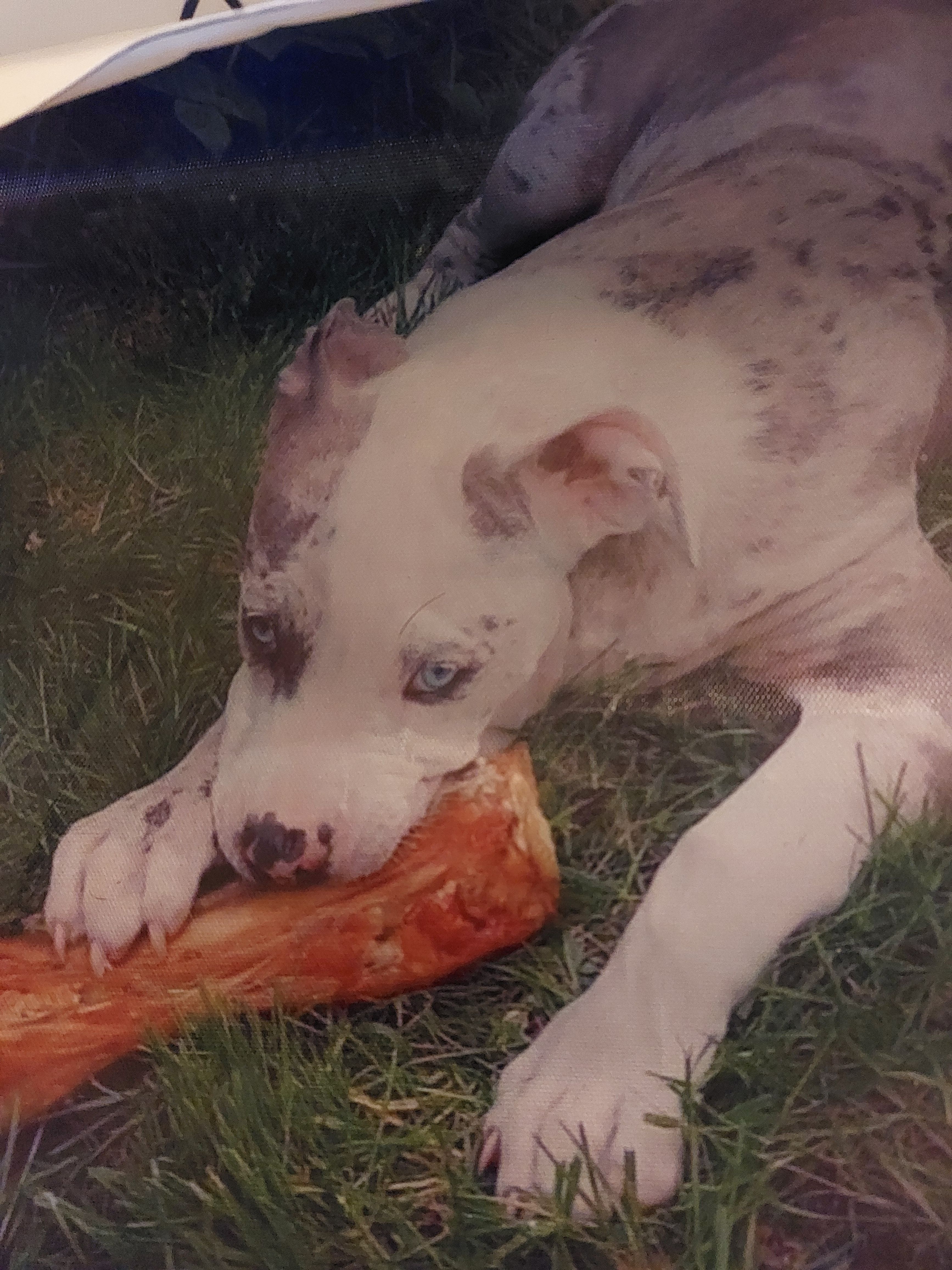 Diva - Havezathe, Almelo