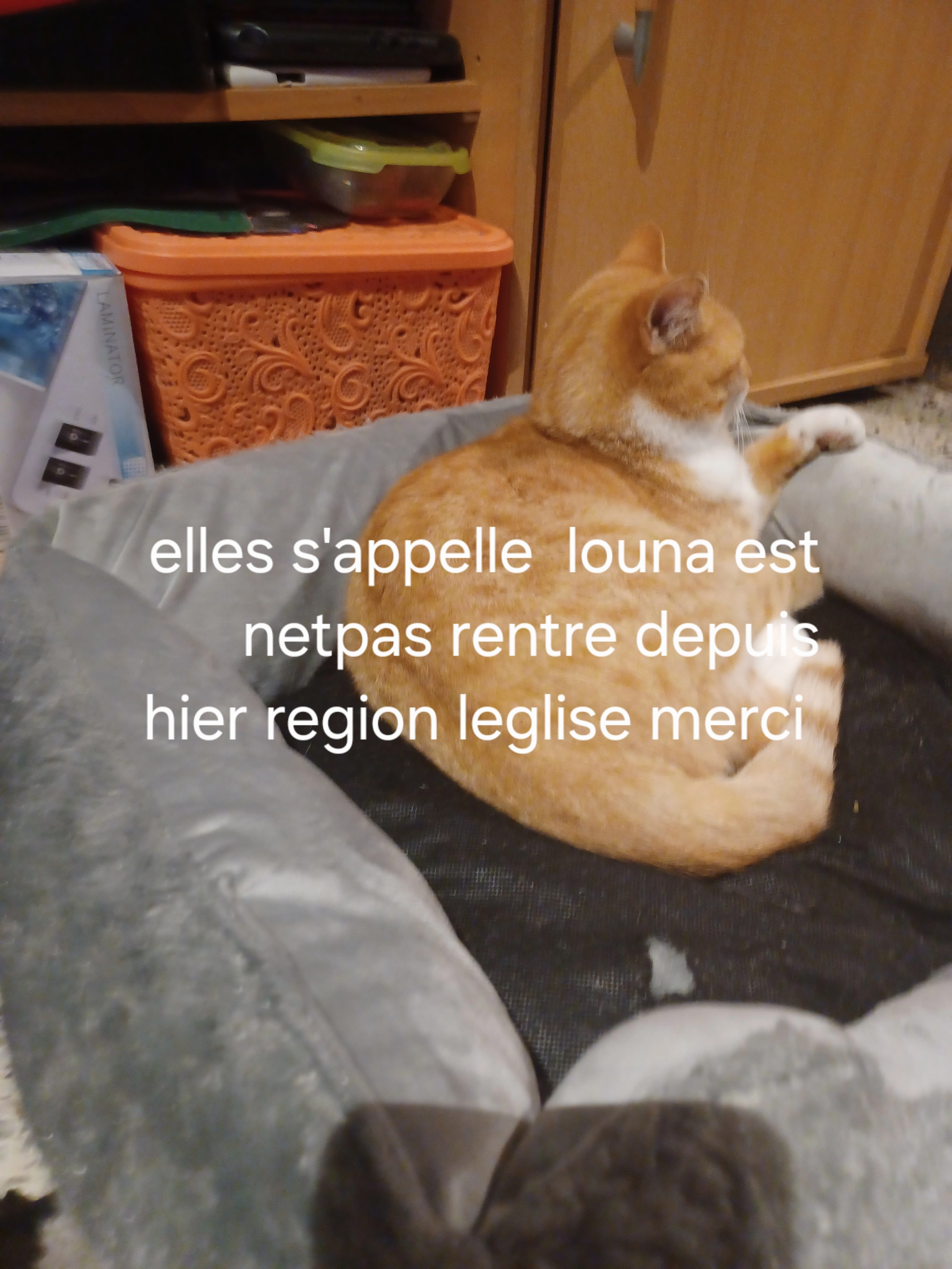 Louna - Rue de la Distillerie, Léglise