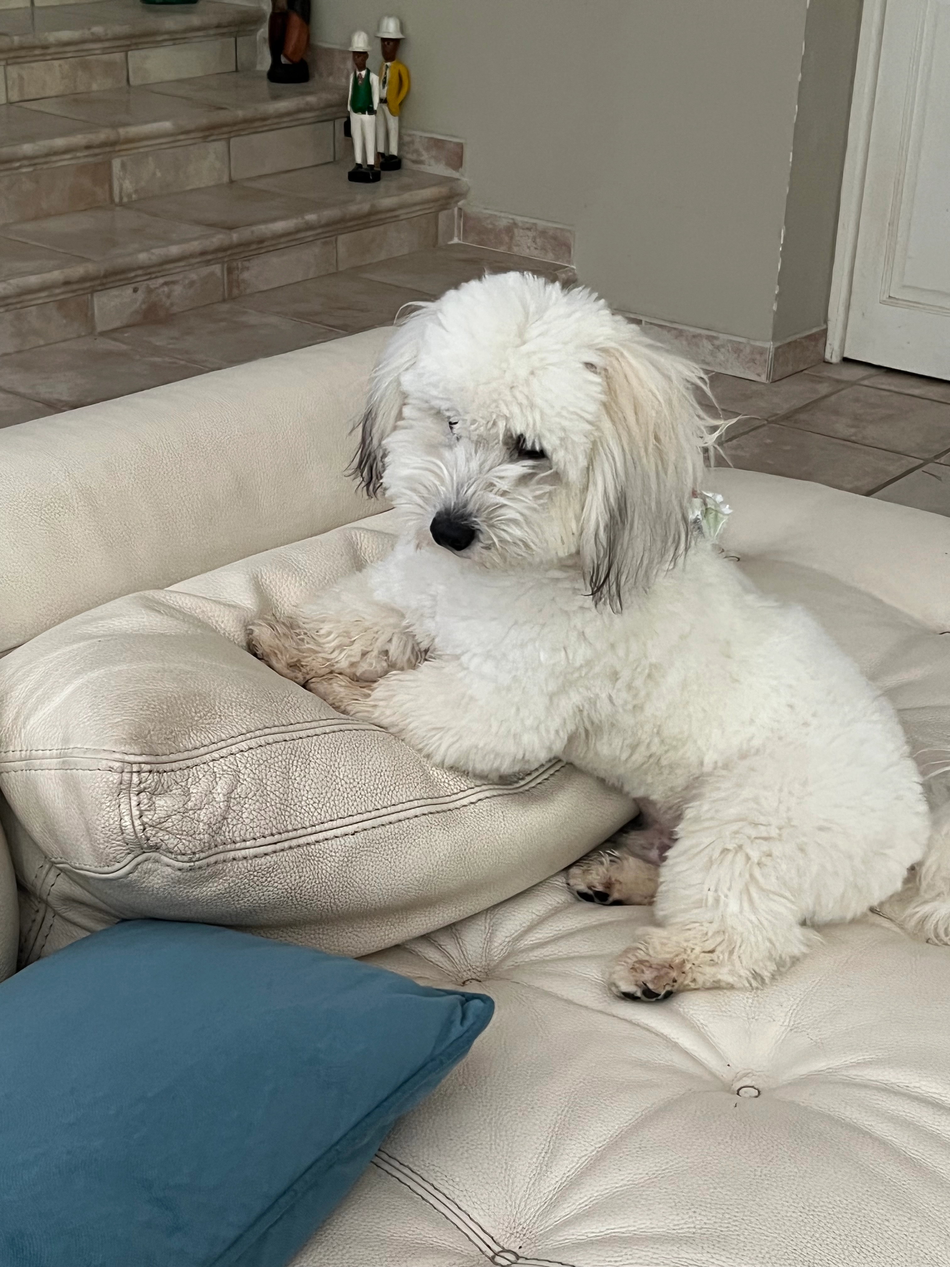 Vicky - 5 Avenue Charles Fabry, Marseille