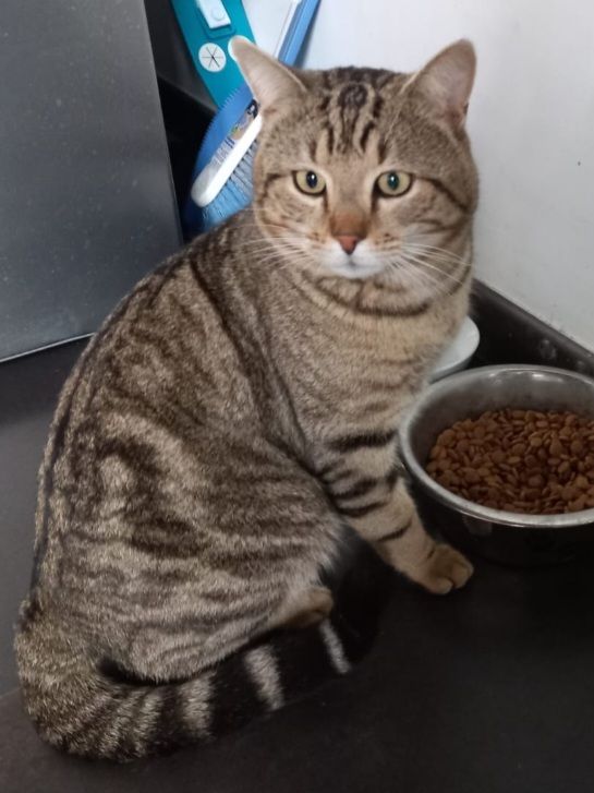 Filoo - Rue Clément Ader, Pignan