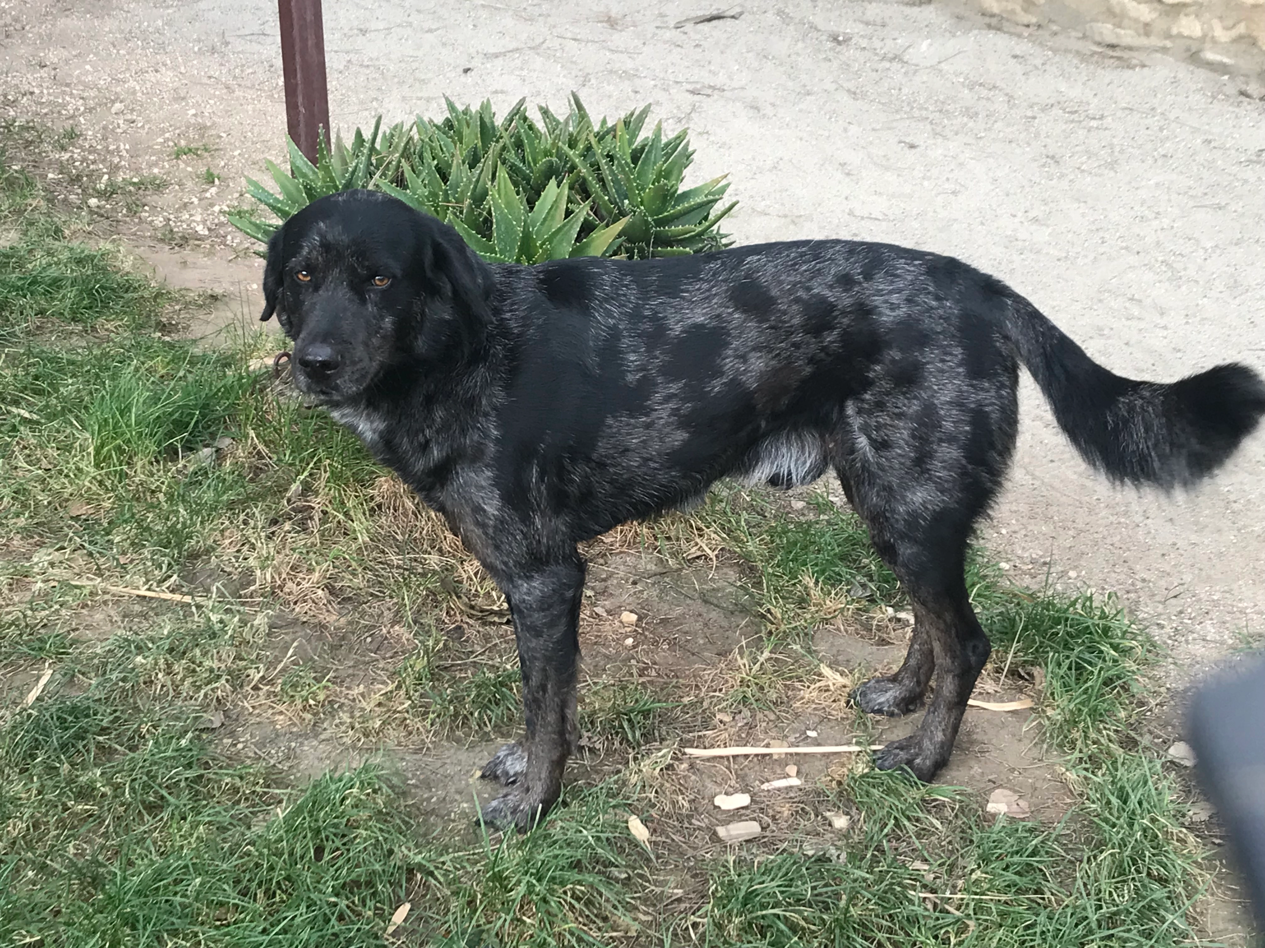 Pitch - Route de Panier, Caderousse