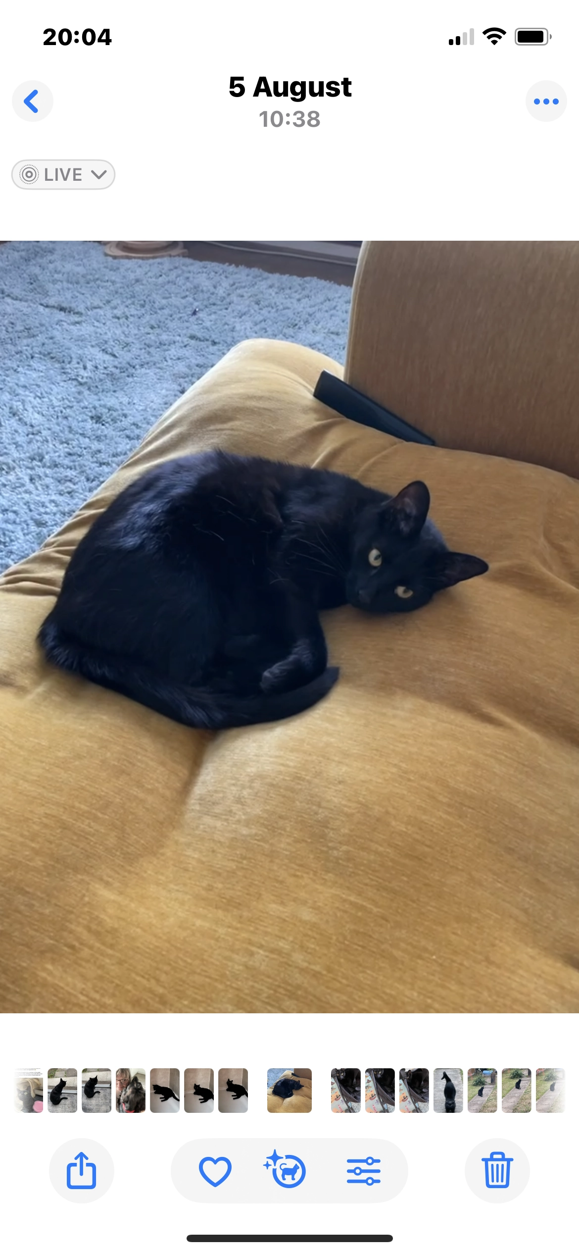 Sydney  - Adalia Walk, Worksop