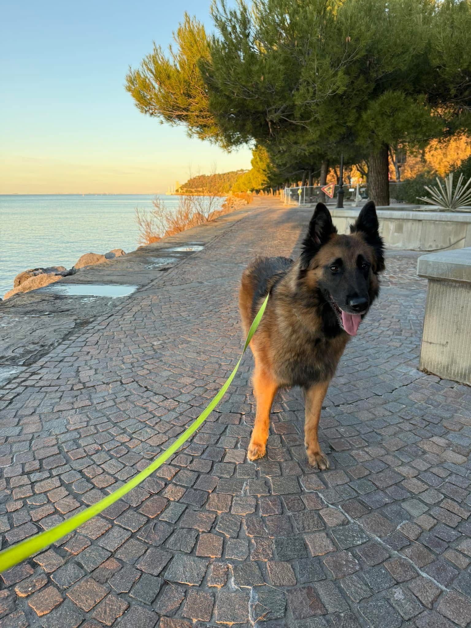 Janina - Lusthausstraße, Wien