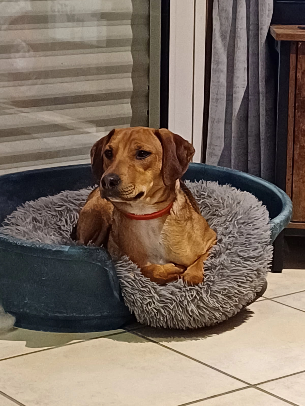 Seven - Rue de Korn Yar, Santec