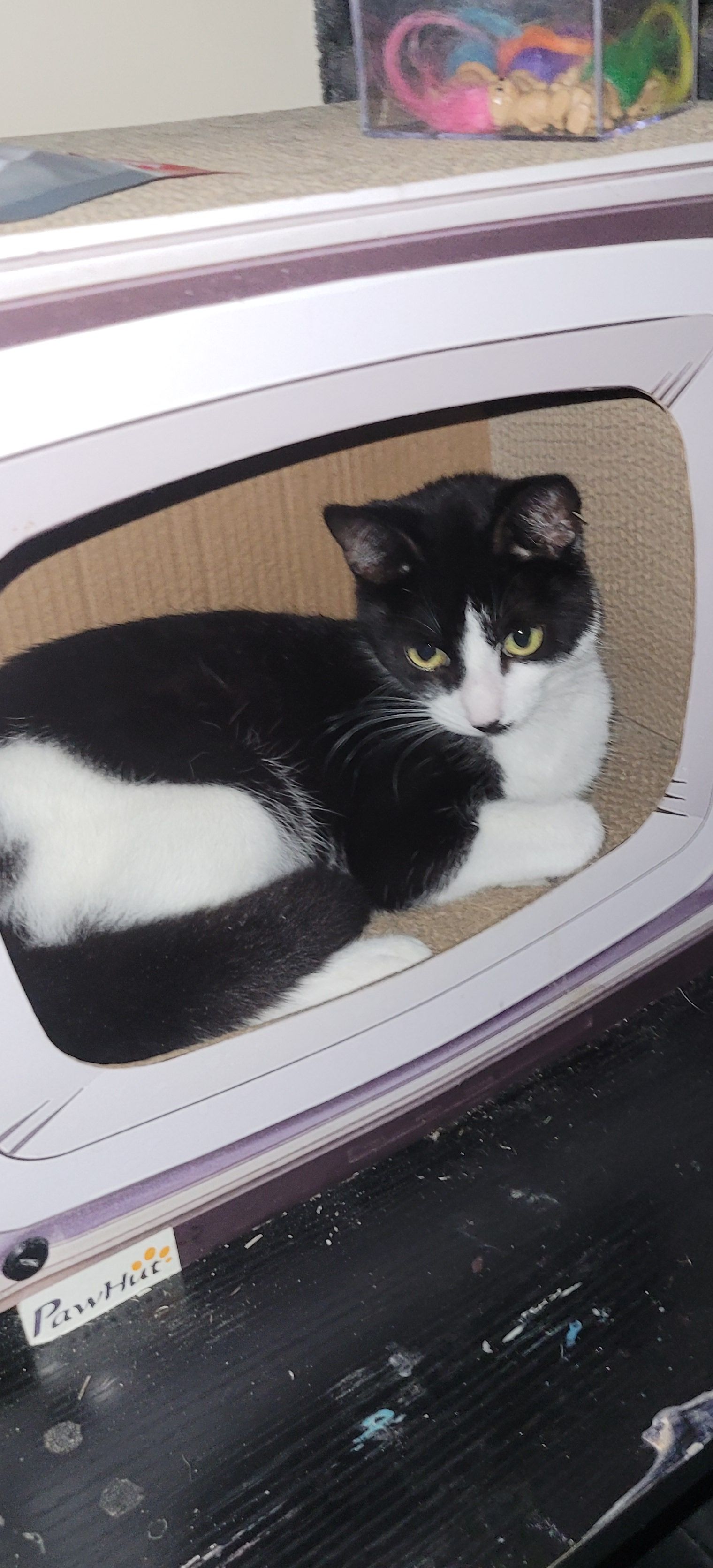 Sterling - SA73 1BG, Milford Haven, Pembrokeshire