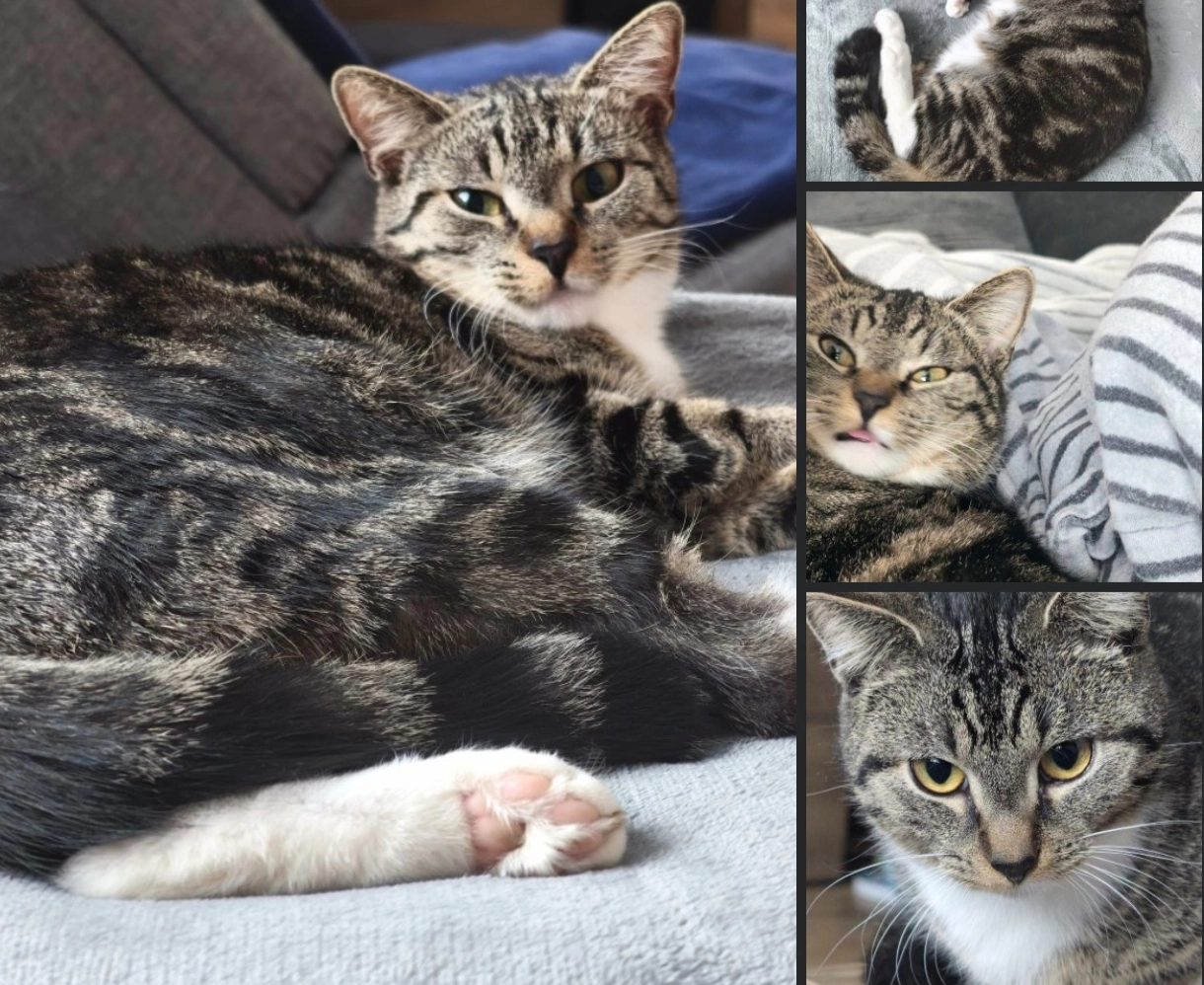 Sissi - Eichenweg, Selb