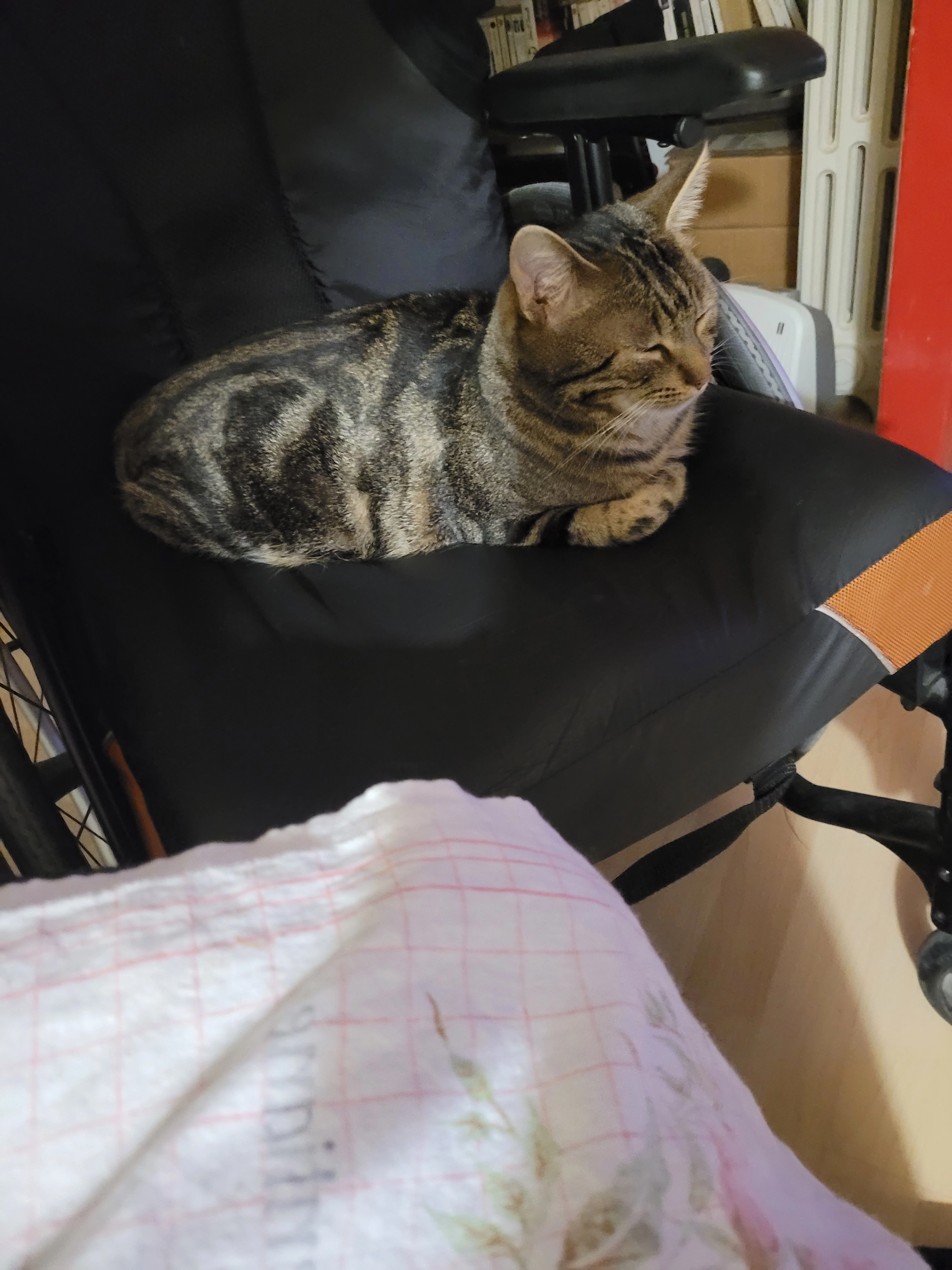 Ubik - Rue des 3 Chênes, Brunoy