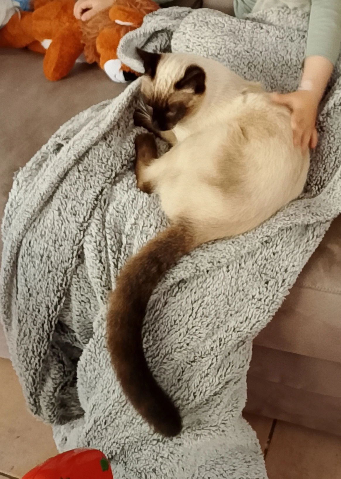 Street - 24 Rue d'Onzac, Marmande