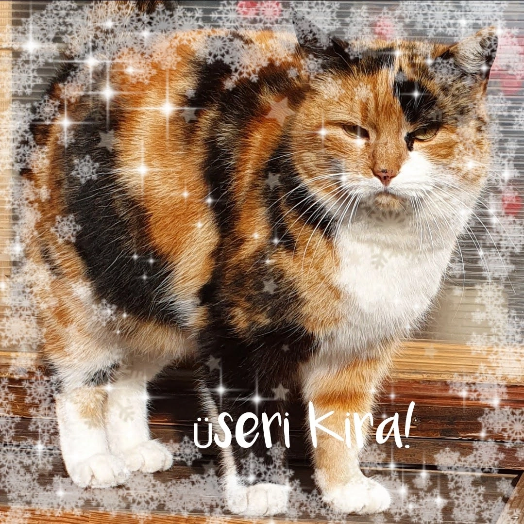 Kira  - Vörösmarty tér, Csurgó