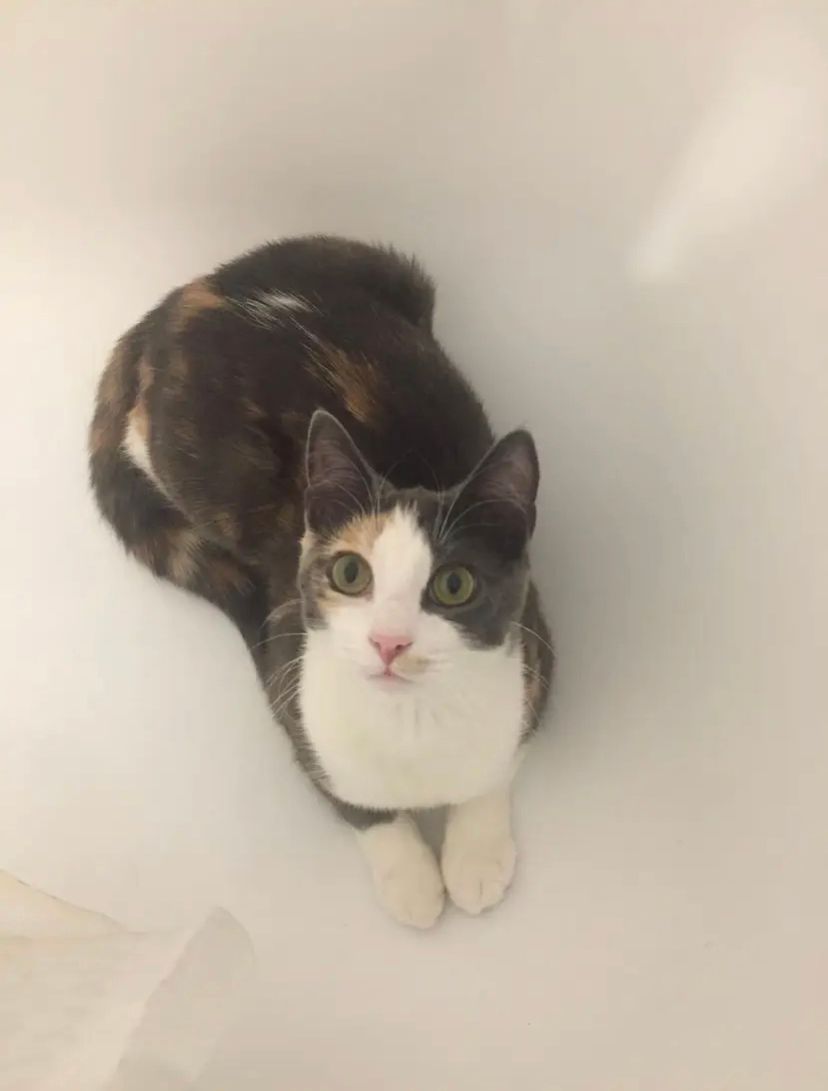 Lilo - Rue Anatole France, Rosières-en-Santerre