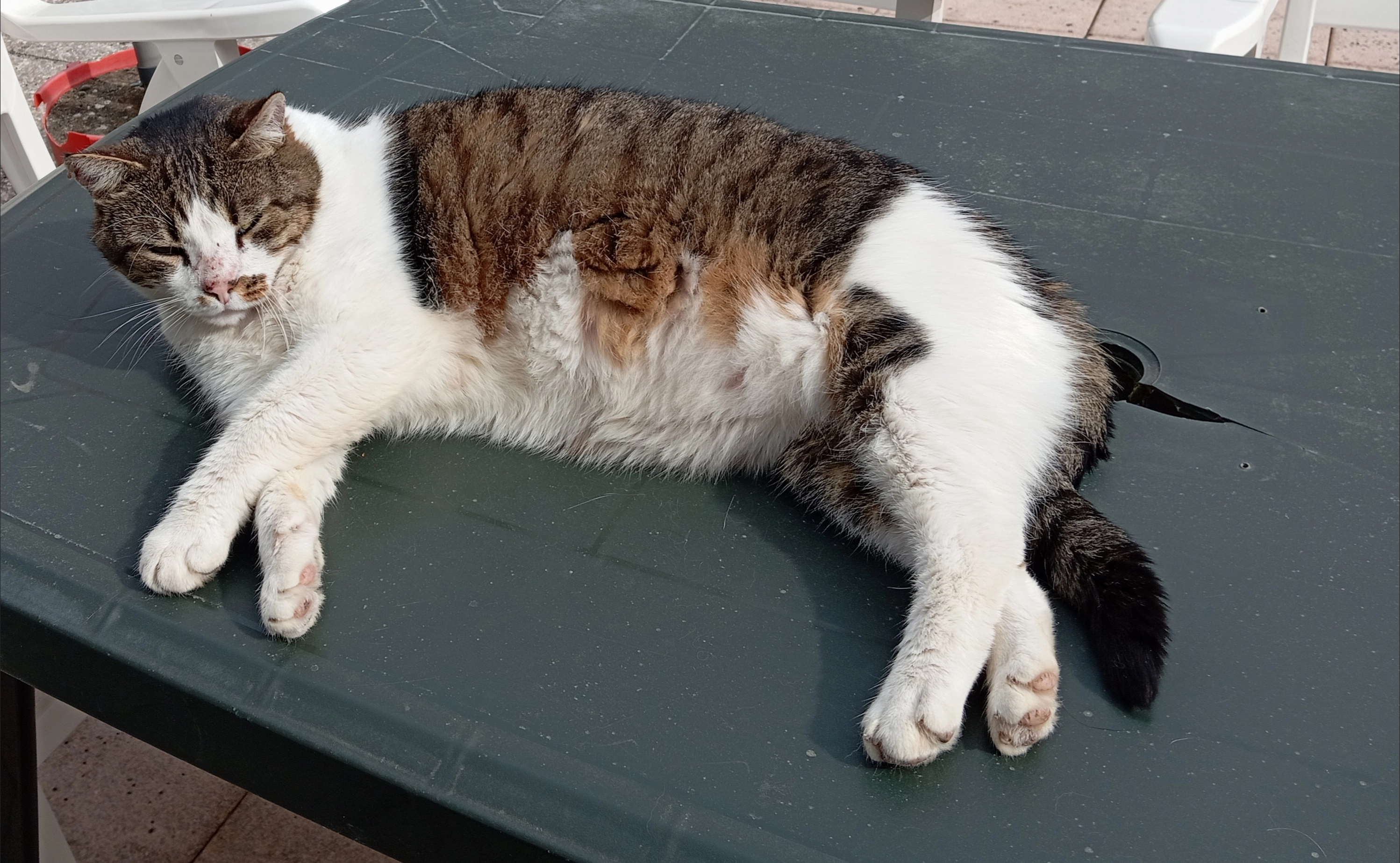 Frimousse - Rue De La Couronne, Eckbolsheim