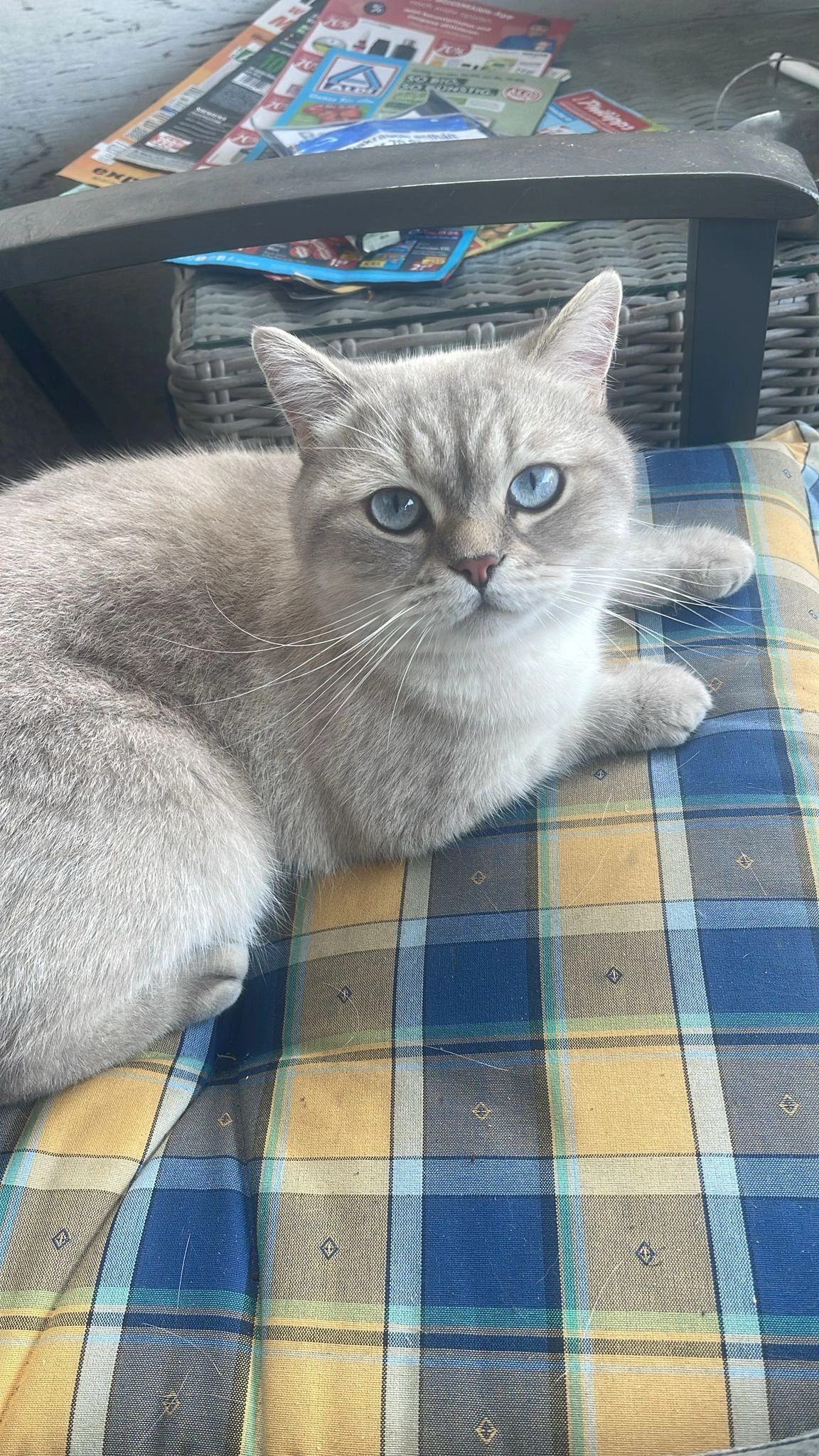 Ruffy - Stapelager Straße, Lage