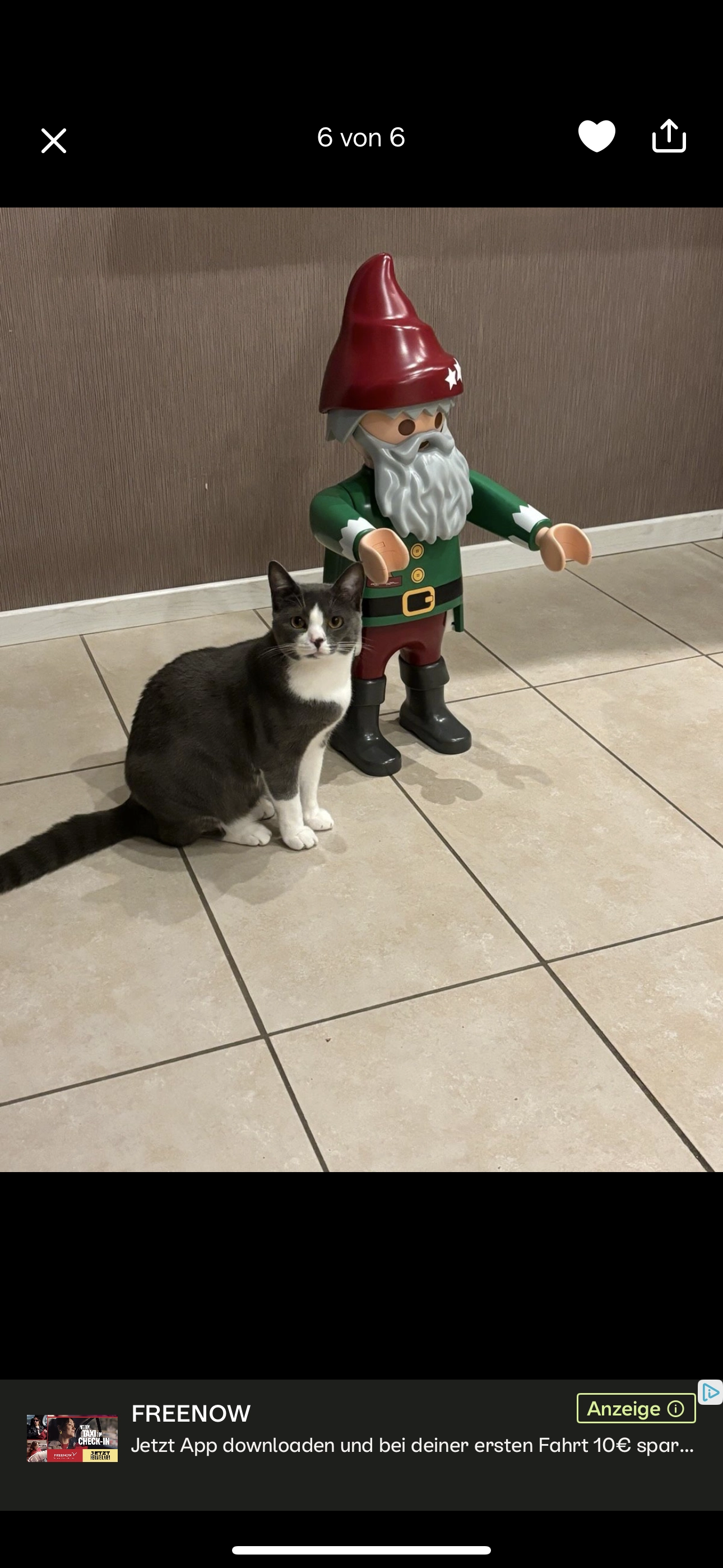 Max - Am Hofkamp, Calberlah