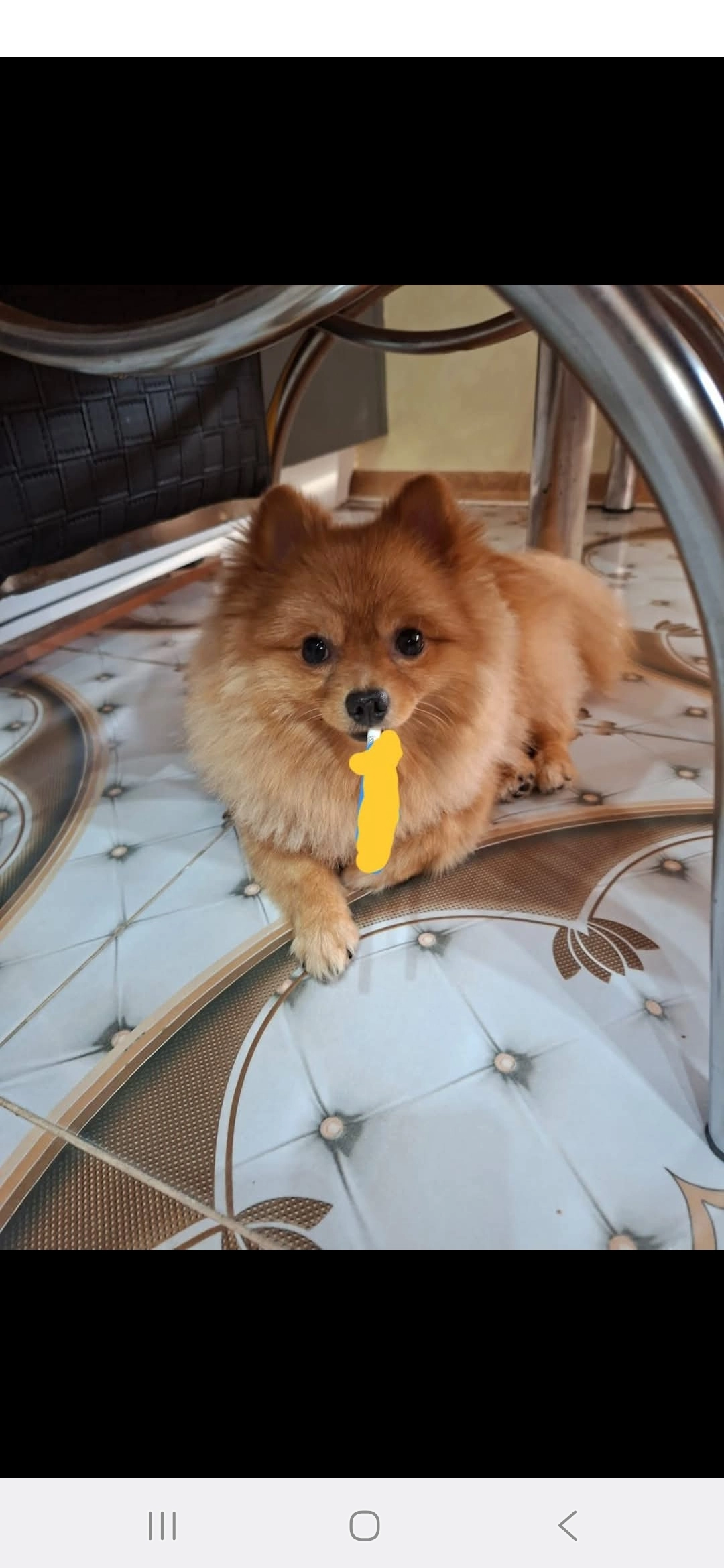 Araz - bulevard Bulgaria, Ruse