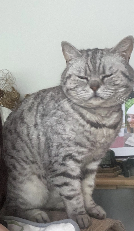 Louise - Hibbert Lane, Stockport