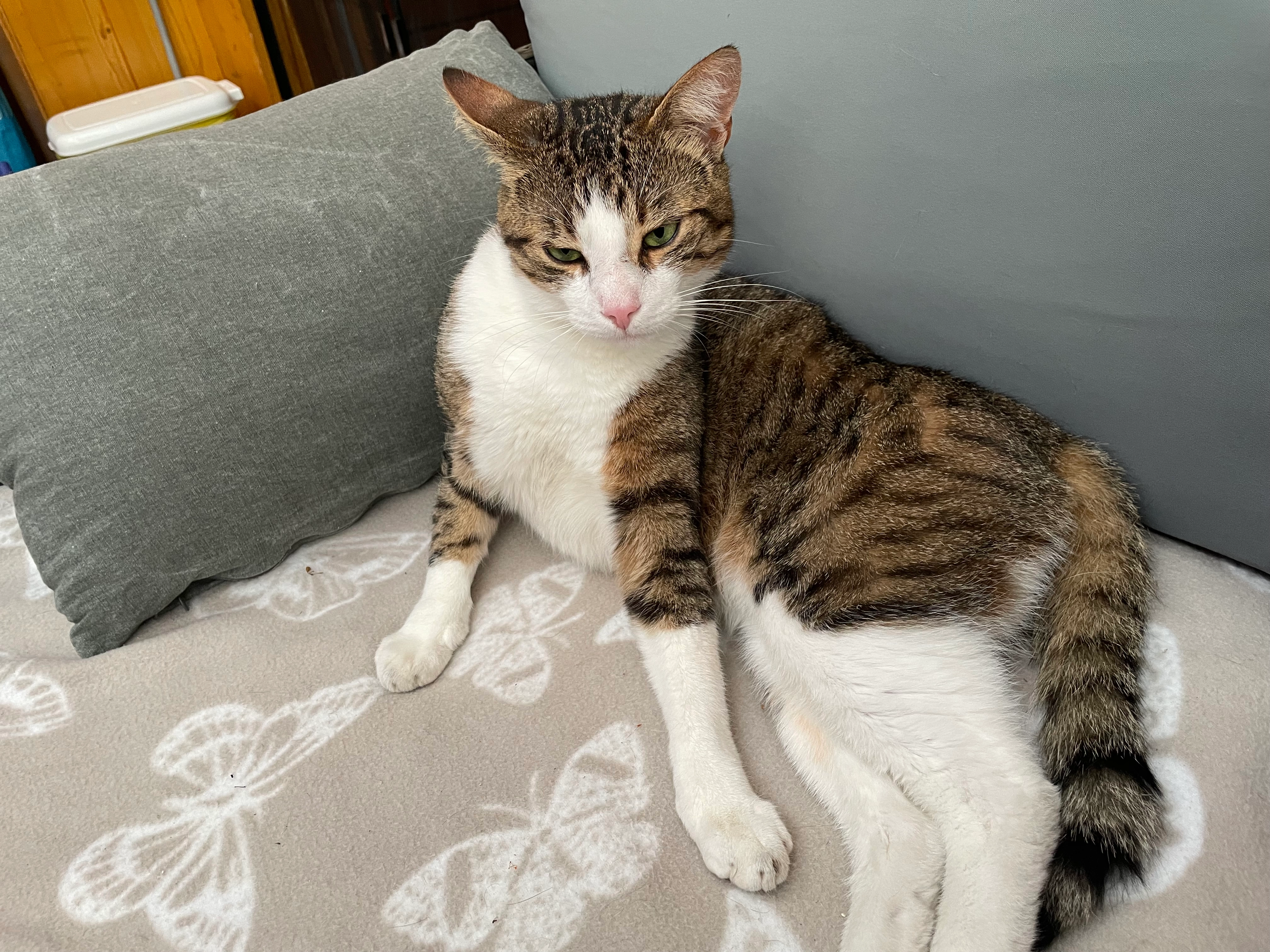 Krümel  - Brunnengasse, Füssen