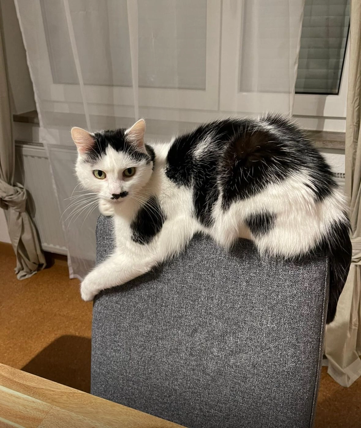 Emma - Schulbrunnenstraße, HN-Kirchhausen