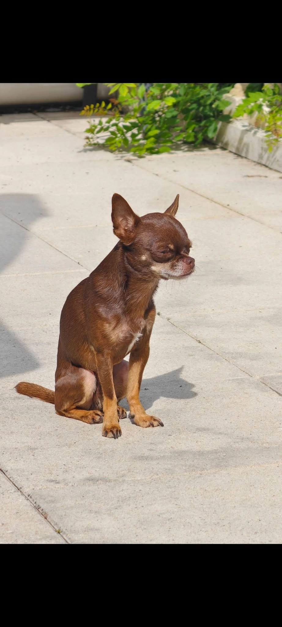 Jazz - La Promenade, Fanjeaux