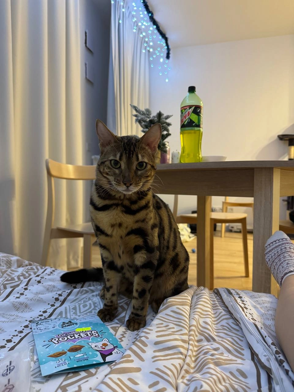 Mia - Optyków, Warszawa