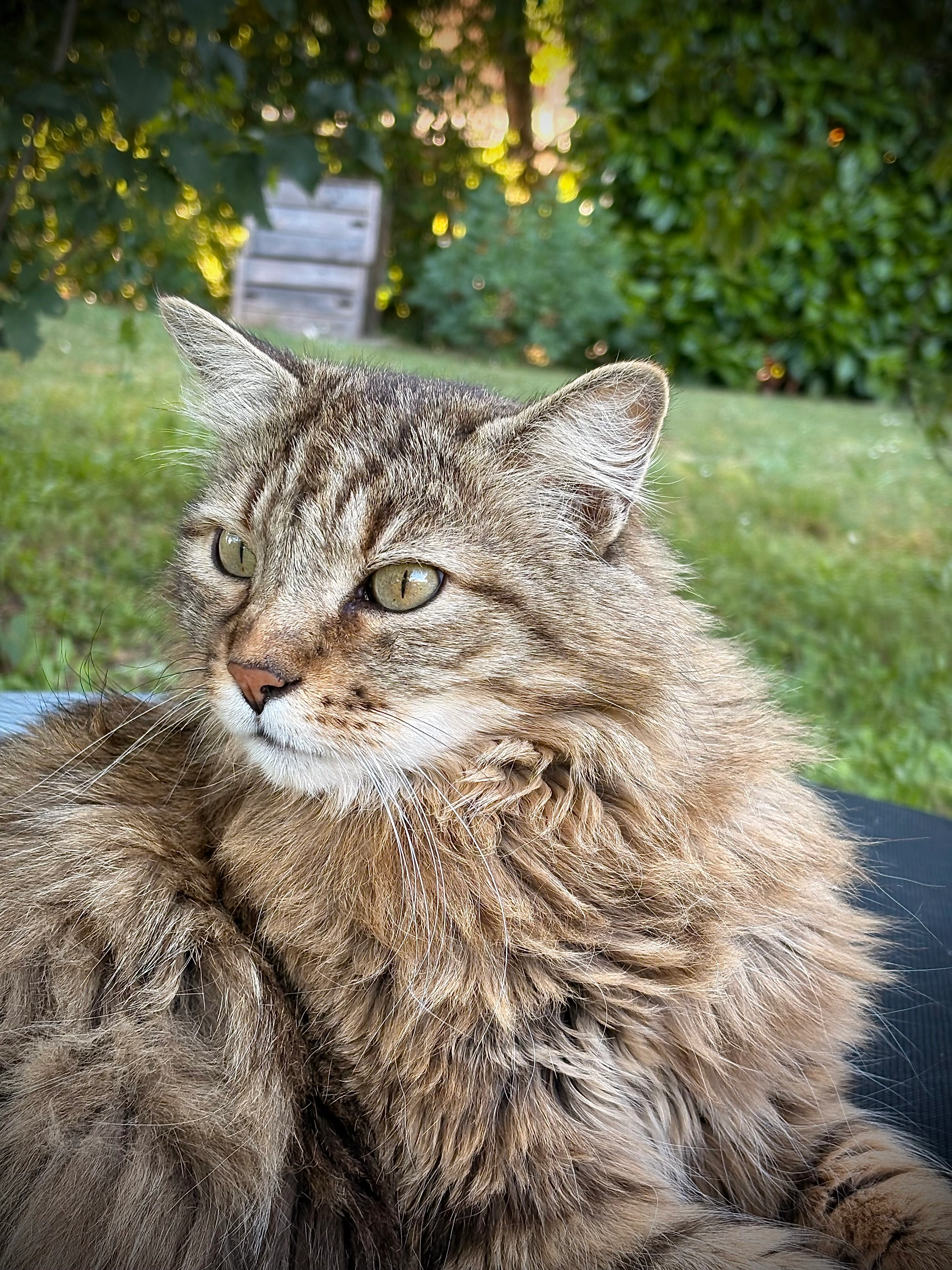 Loony - 153 Chemin de Bécu, Vulbens