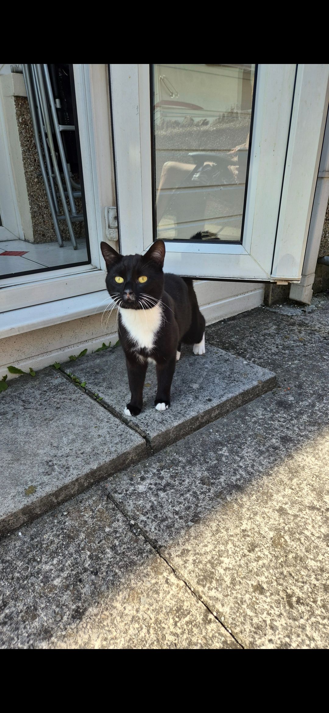 Bobbie - 78 Stanley Road, Morecambe