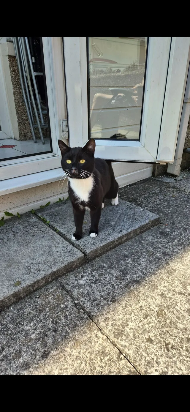 Bobbie - 78 Stanley Road, Morecambe
