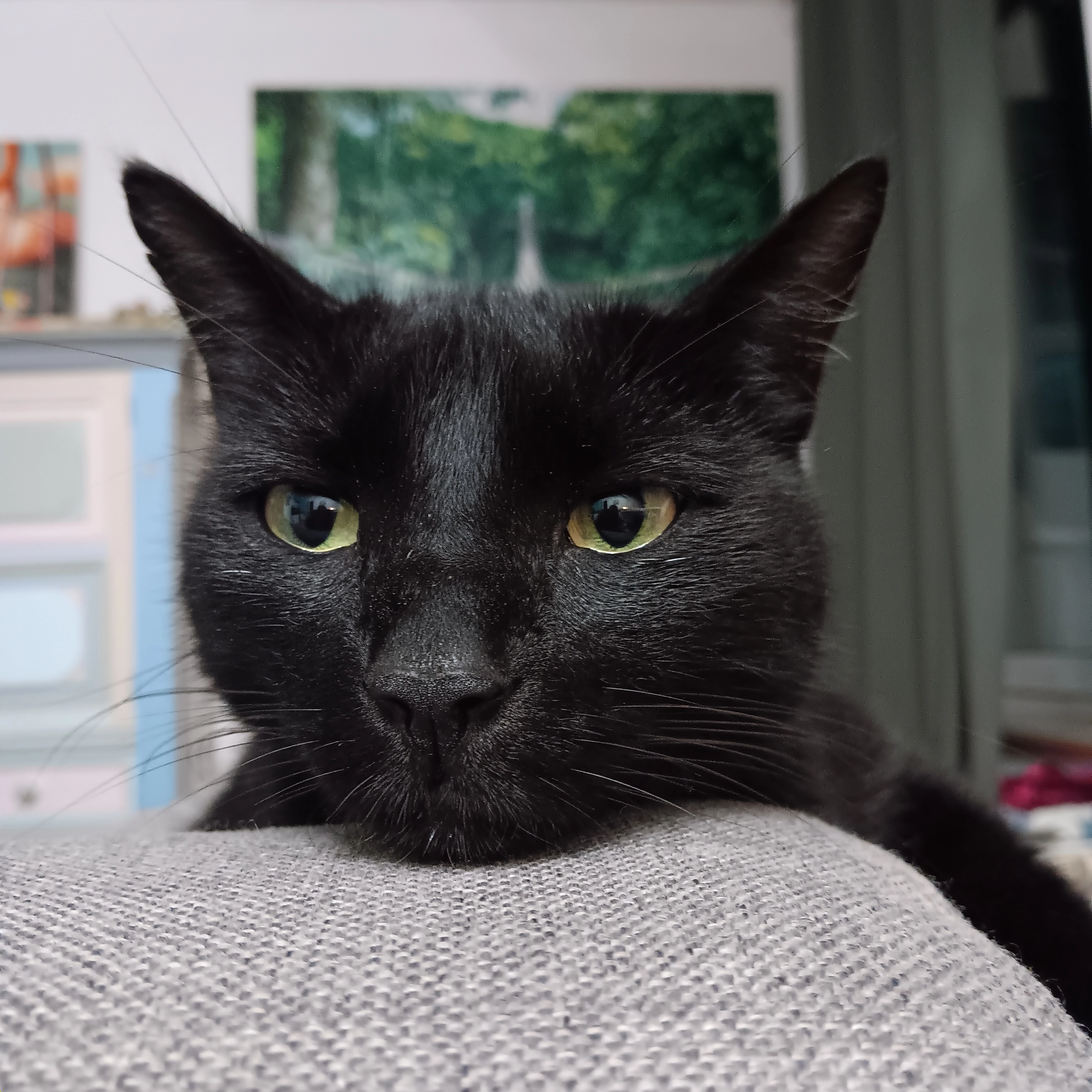 Tamba - Düsselthaler Strasse, Düsseldorf