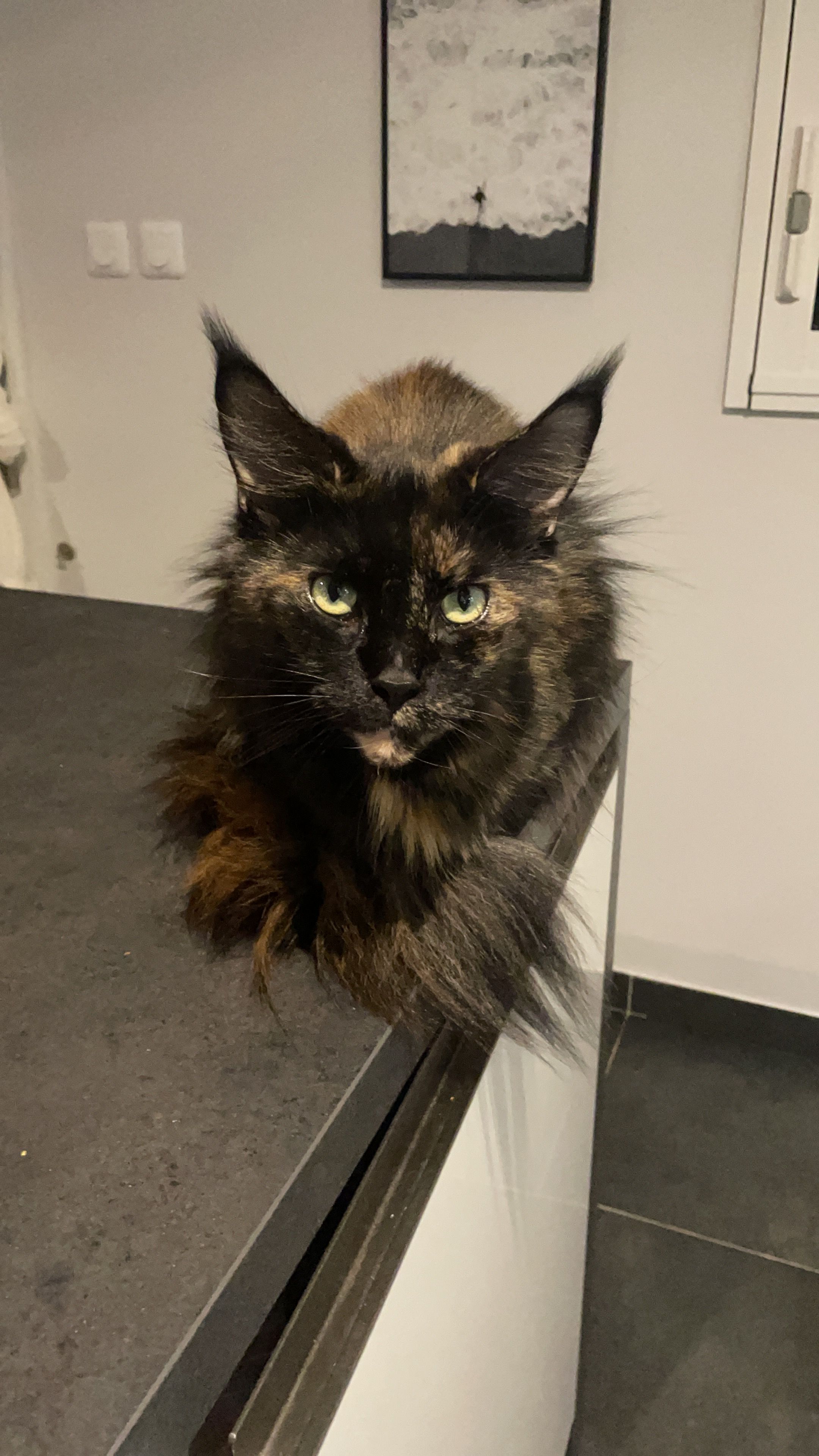 Nahia - Rue Du Cabris, Beaugency