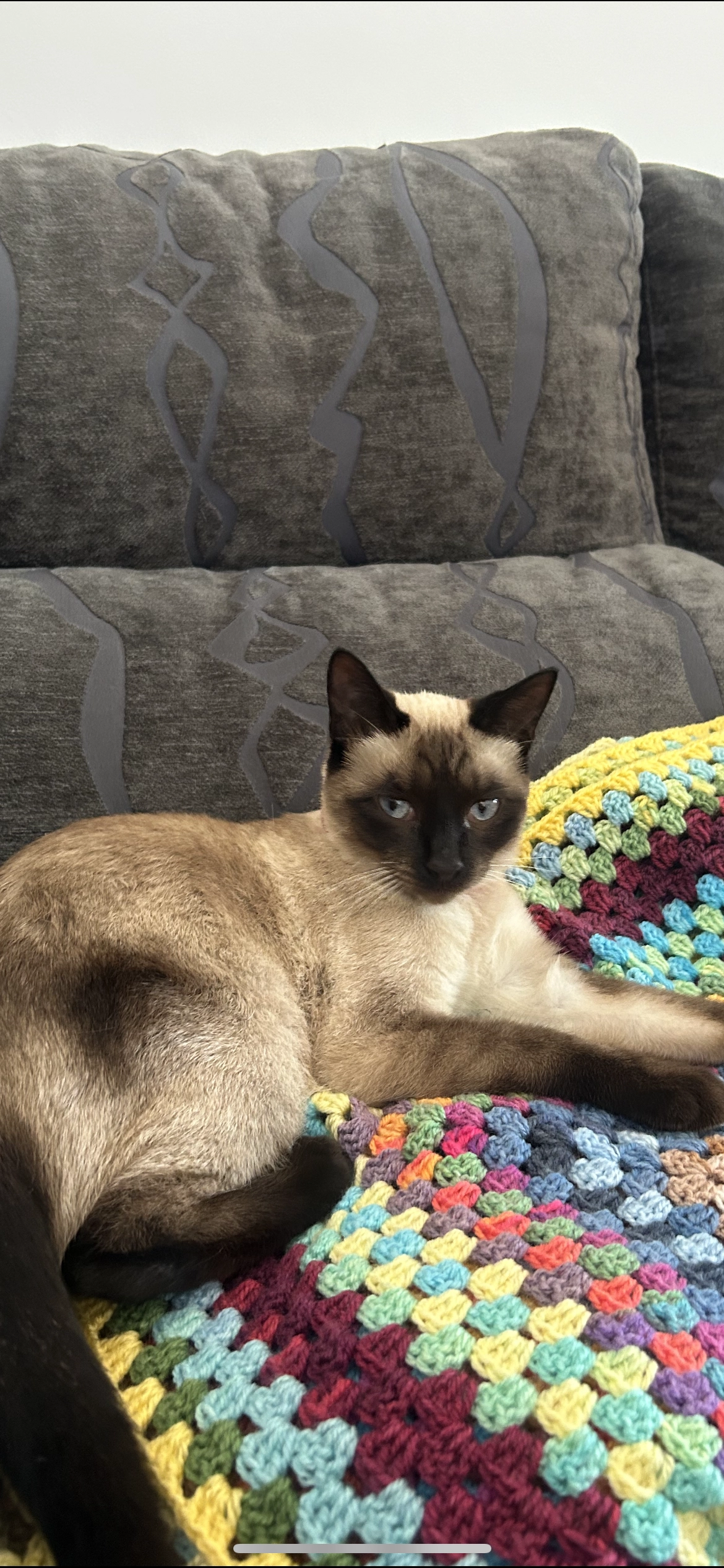 Gala - Carrer de la Pujada del Pi, Corbera de Llobregat