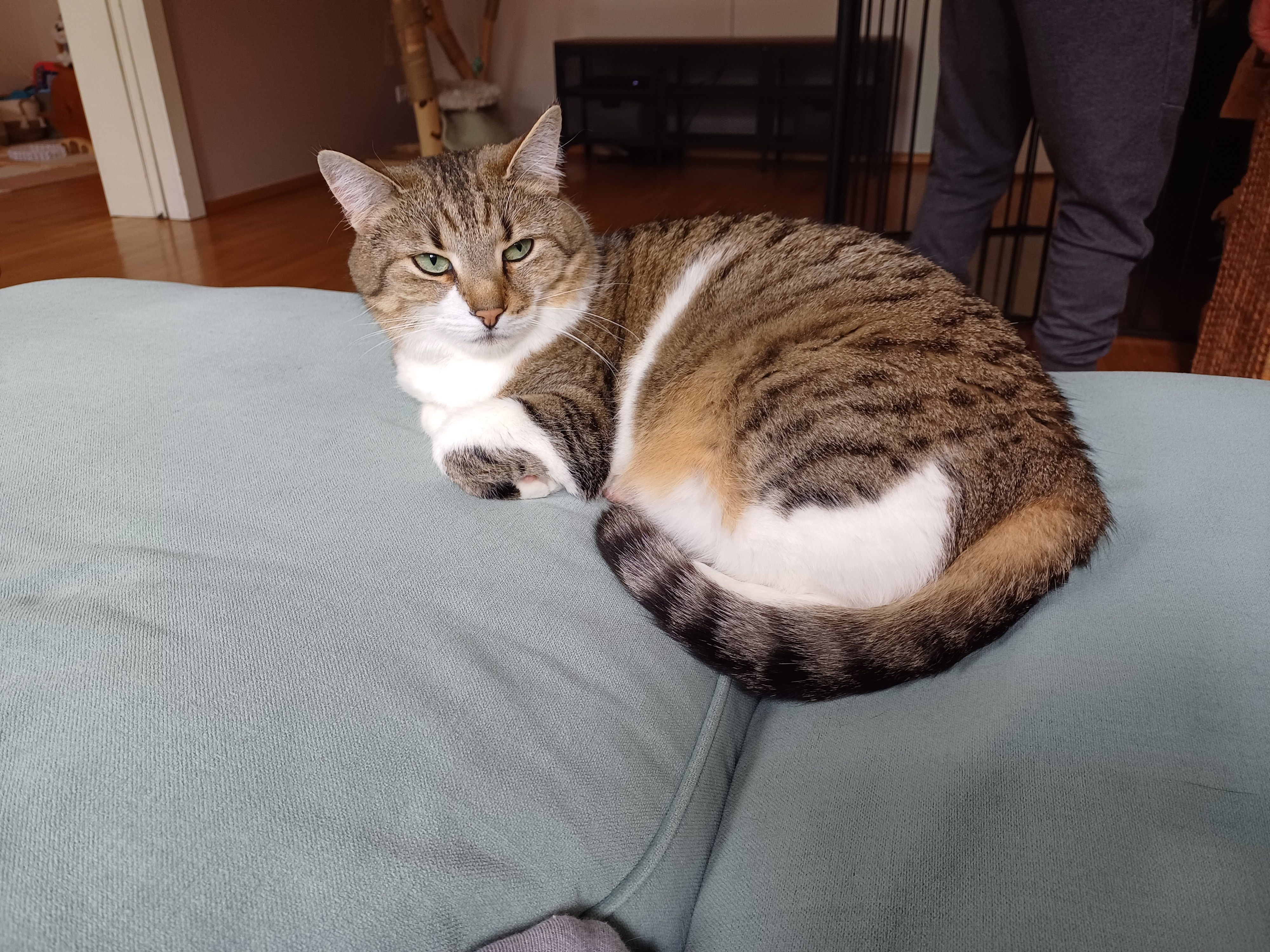 Otto - Dammstraße, Tirschenreuth