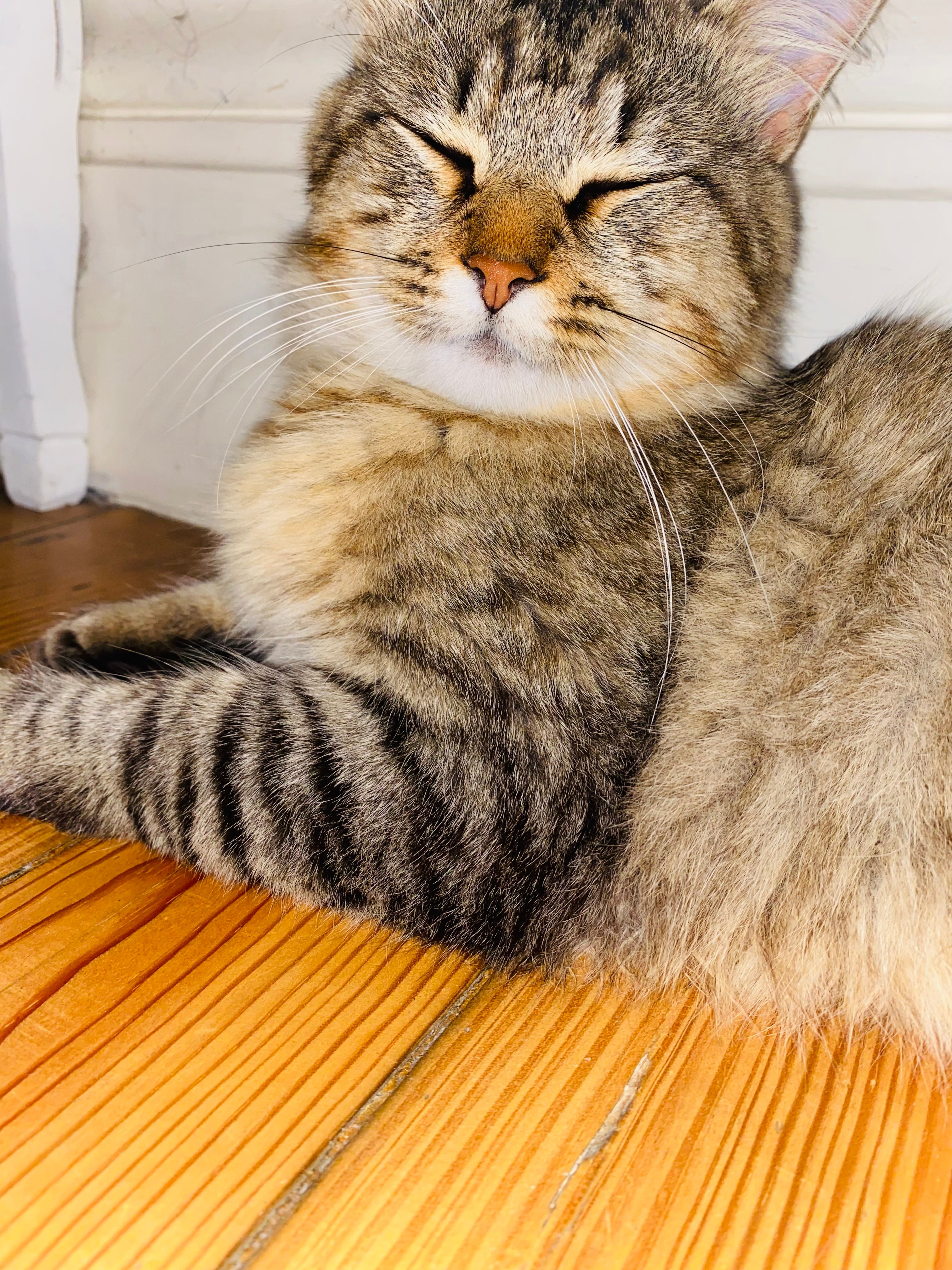 Sushi - Rua Do Monte Dos Burgos, Porto