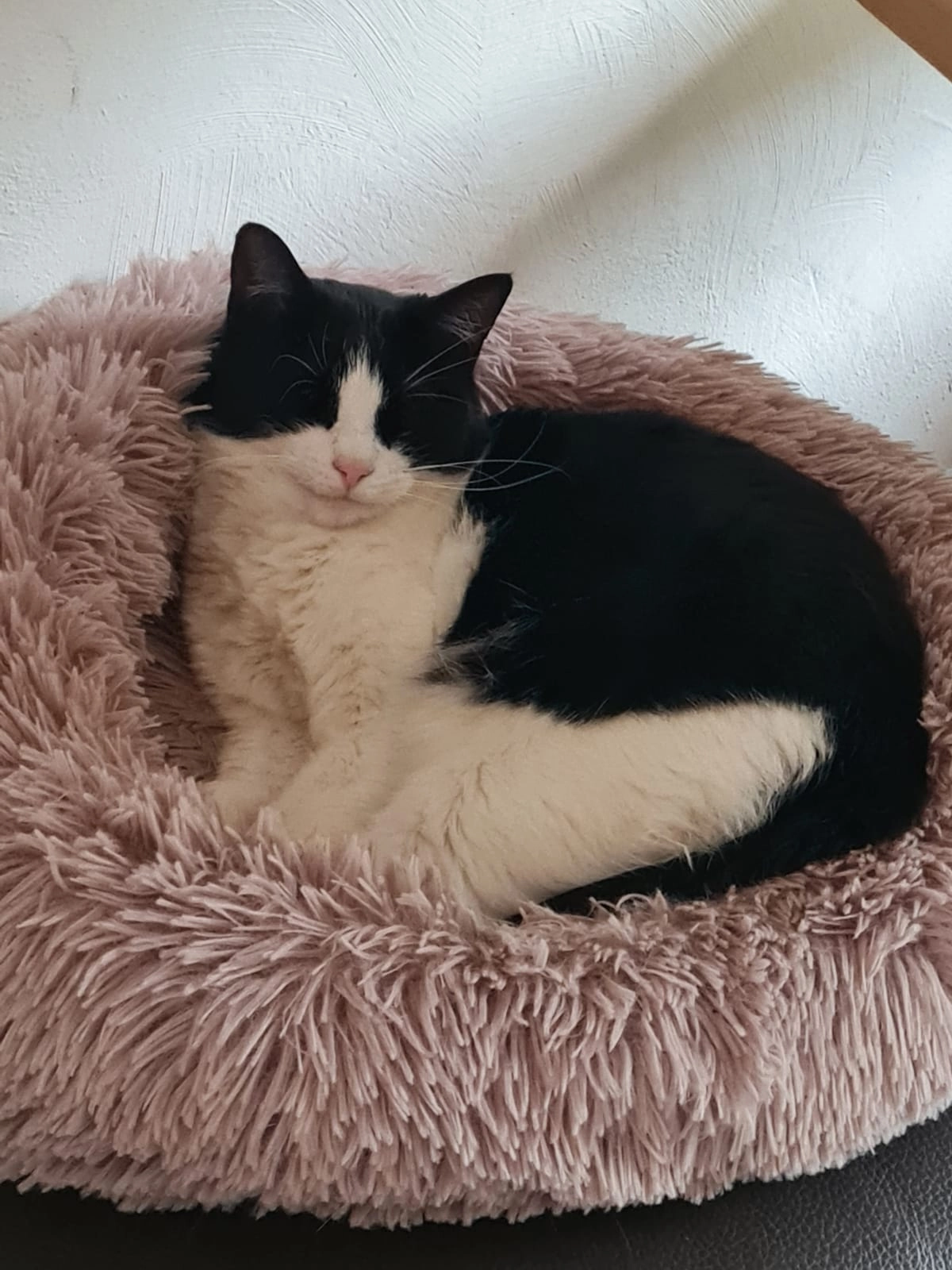 Mia - Route Des Michels, Peynier